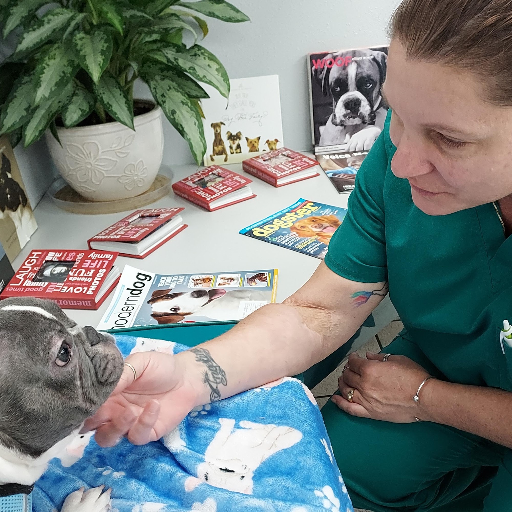 Golby Deborah L DVM Port Orange