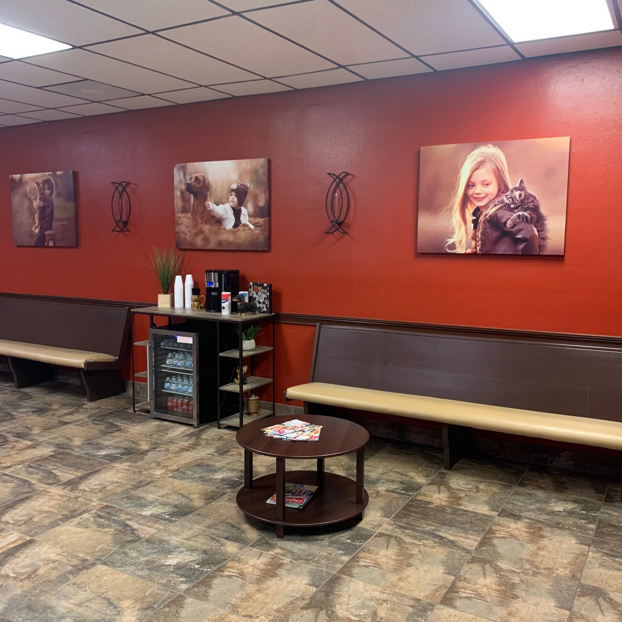 Paws Vet Care Center Port Richey