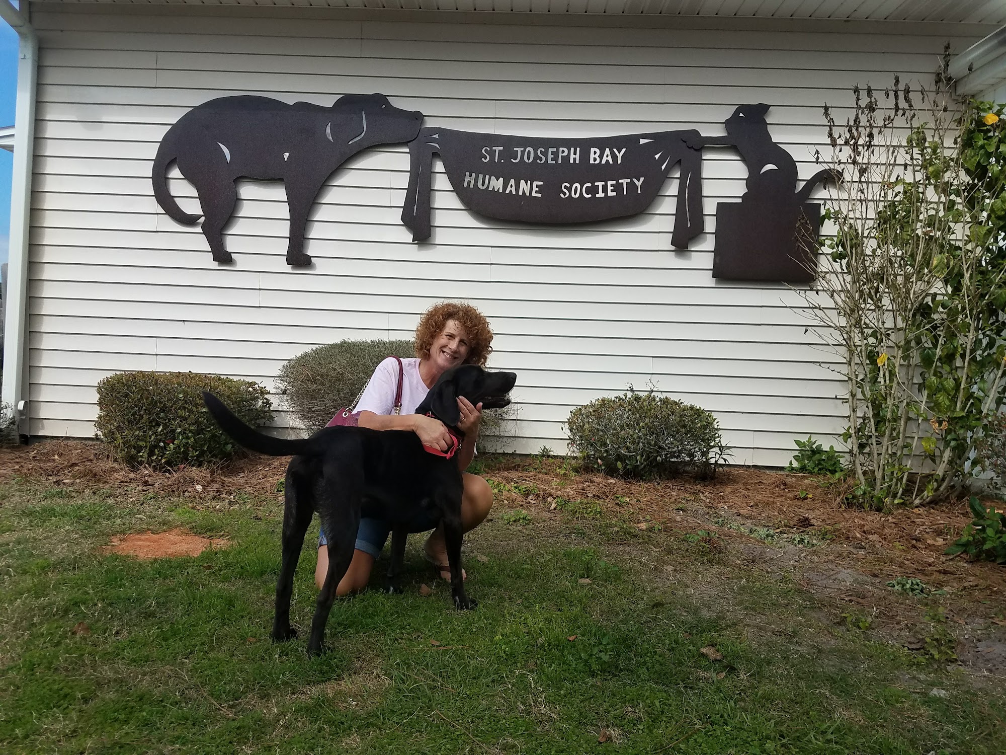 St. Joseph Bay Humane Society Port Saint Joe
