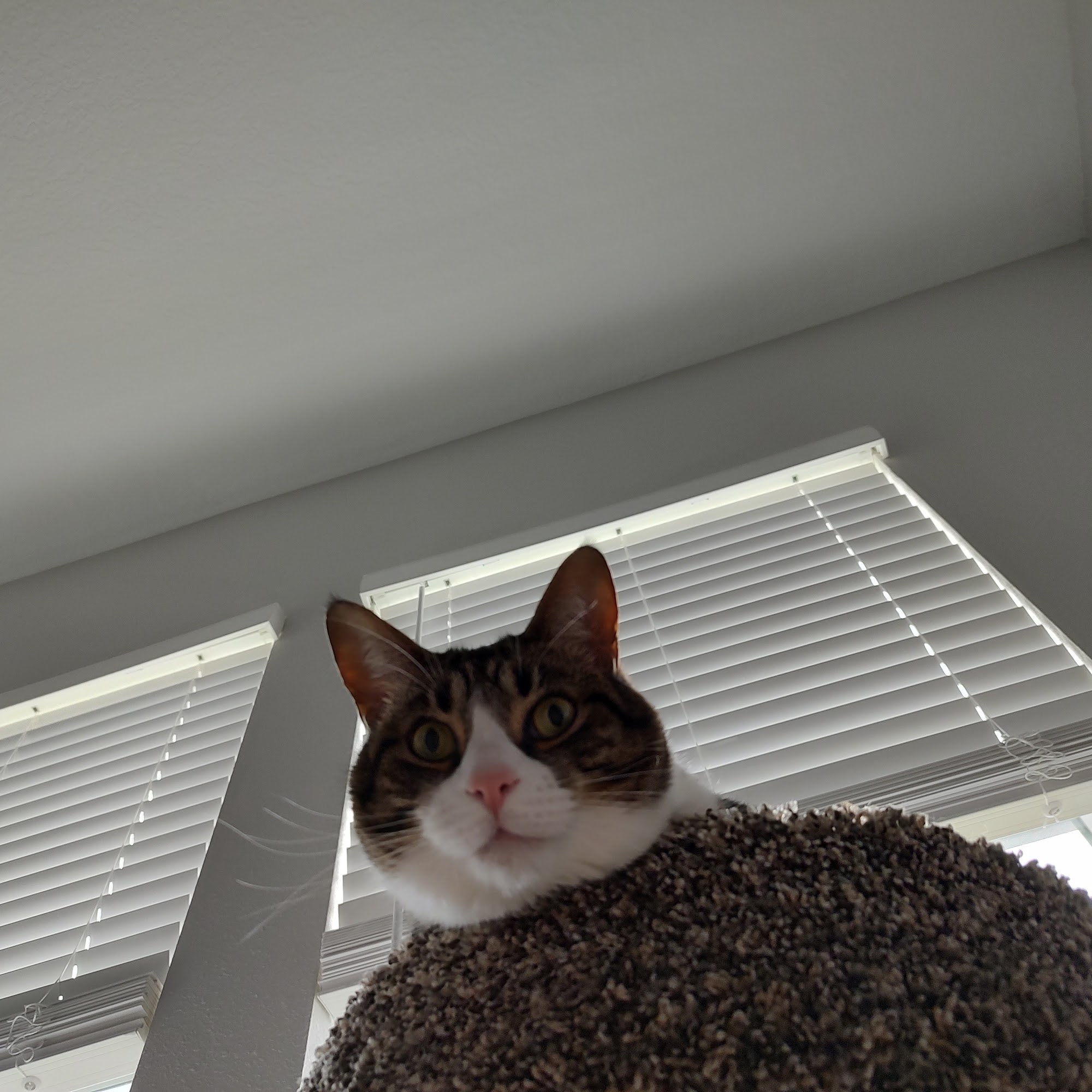 Veterinary Medical Center of St. Lucie County Port St. Lucie