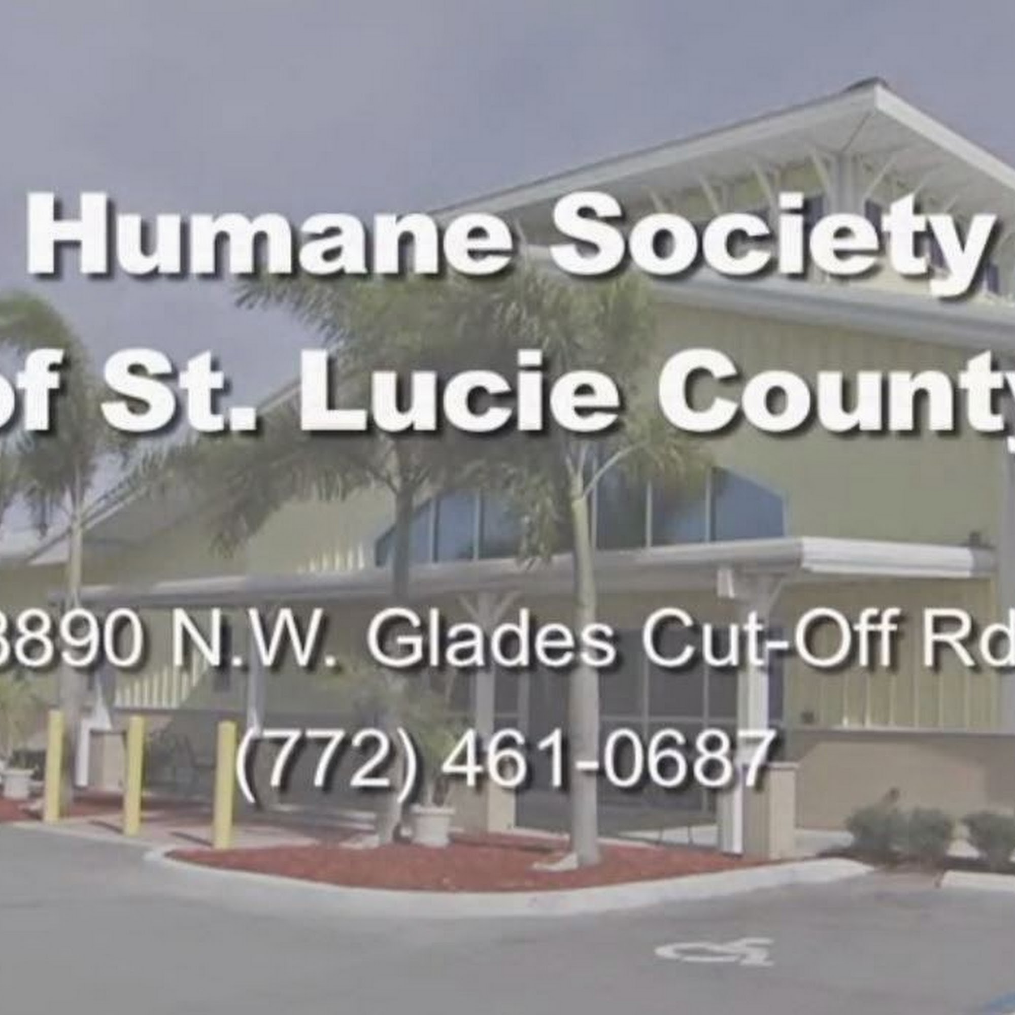 The Humane Society of St. Lucie County Port St. Lucie