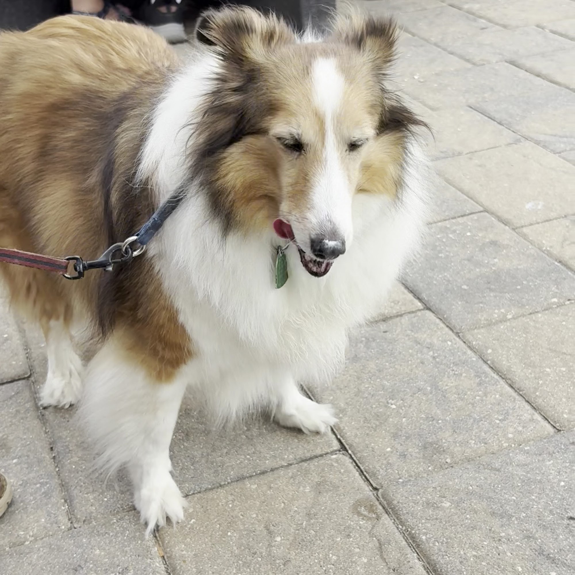 Working Cow Ice Cream & Eatery Punta Gorda