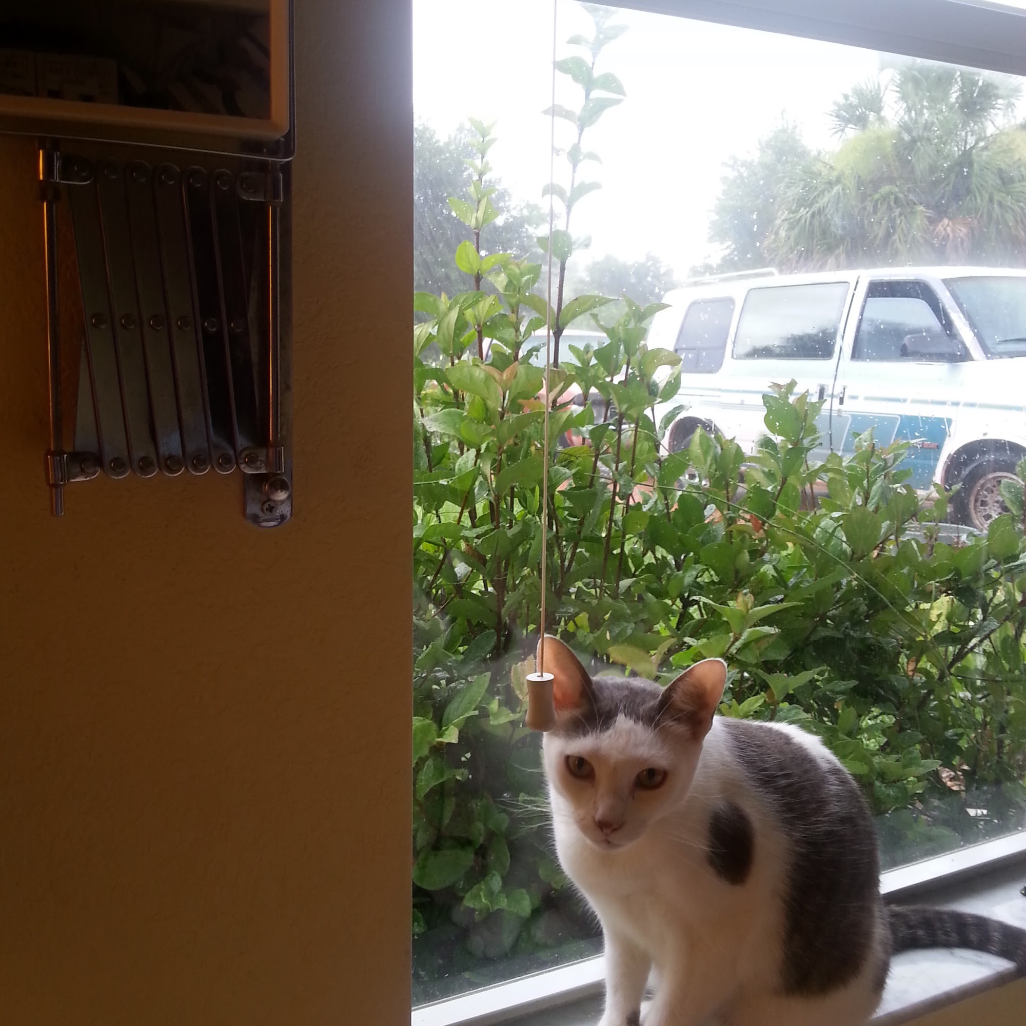 Florida Animal Care Punta Gorda