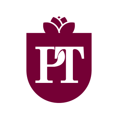 Professional Taxes Inc