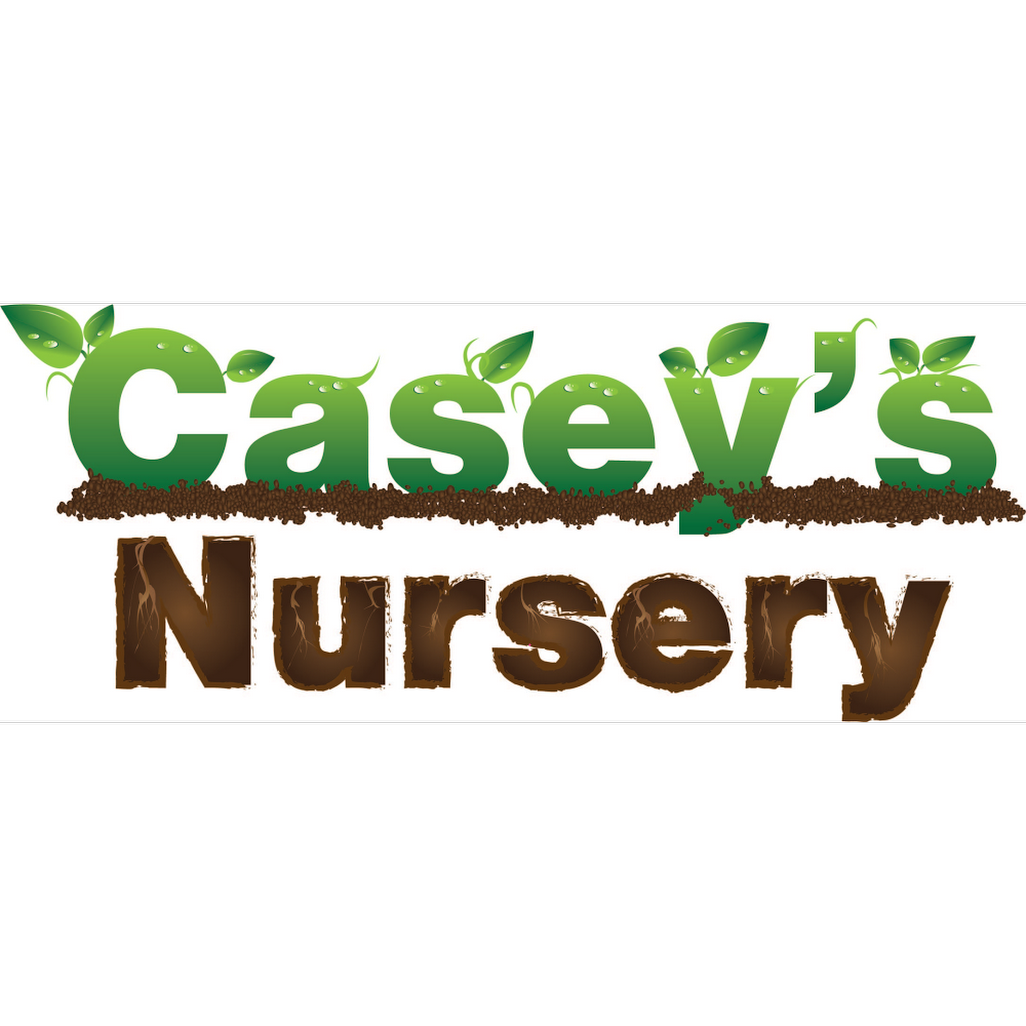 Casey's Nursery Corporation Reddick
