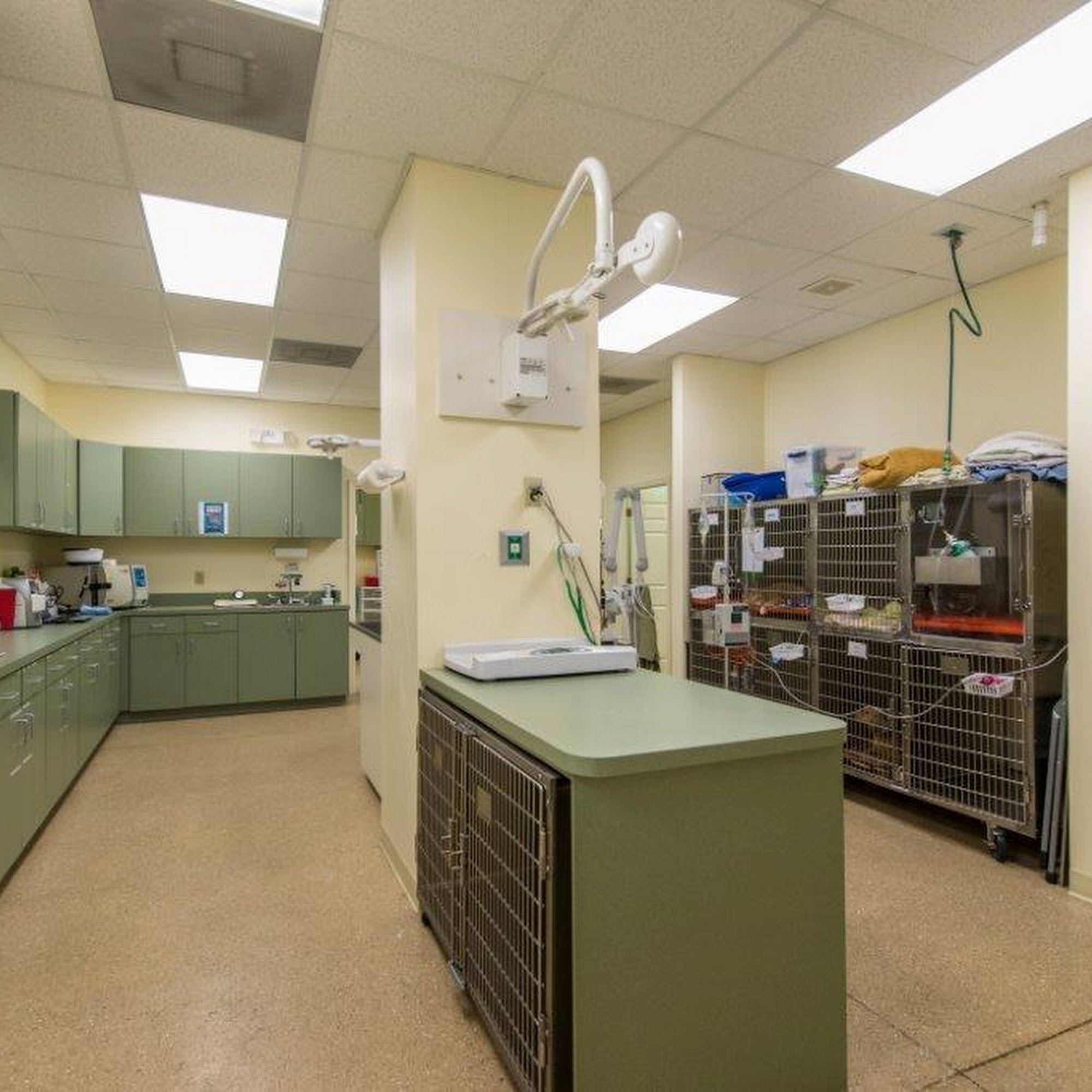 Four Paws Veterinary Hospital Riverview