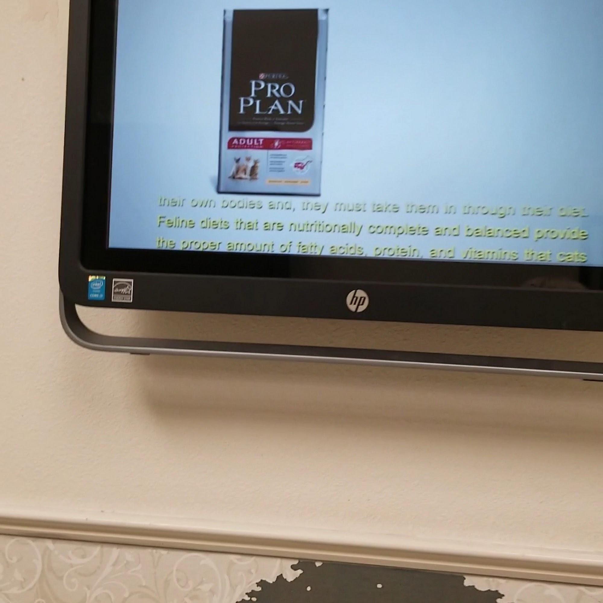 Boyette Animal Hospital Riverview