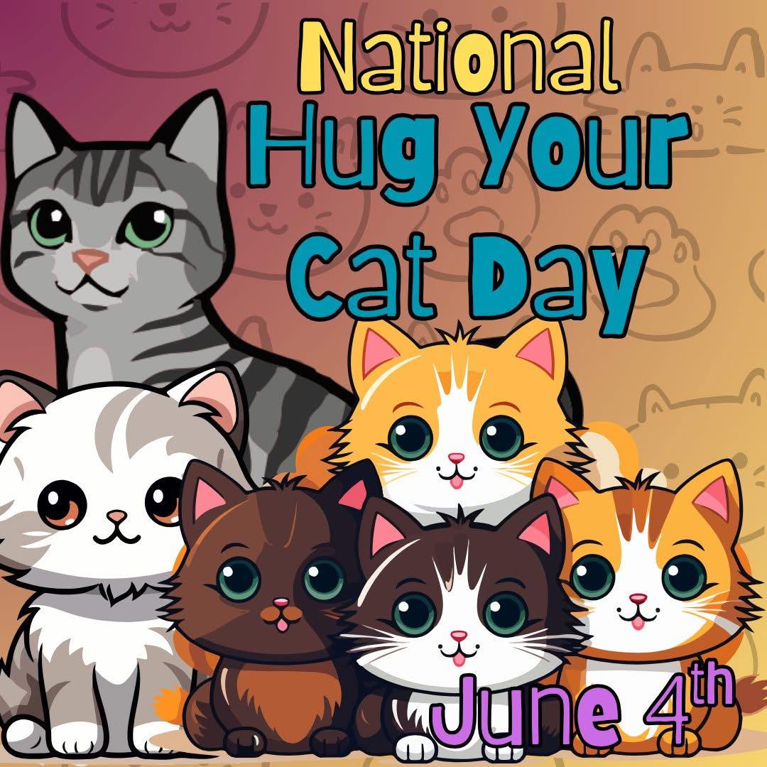 A Country Cat House Tampa Riverview