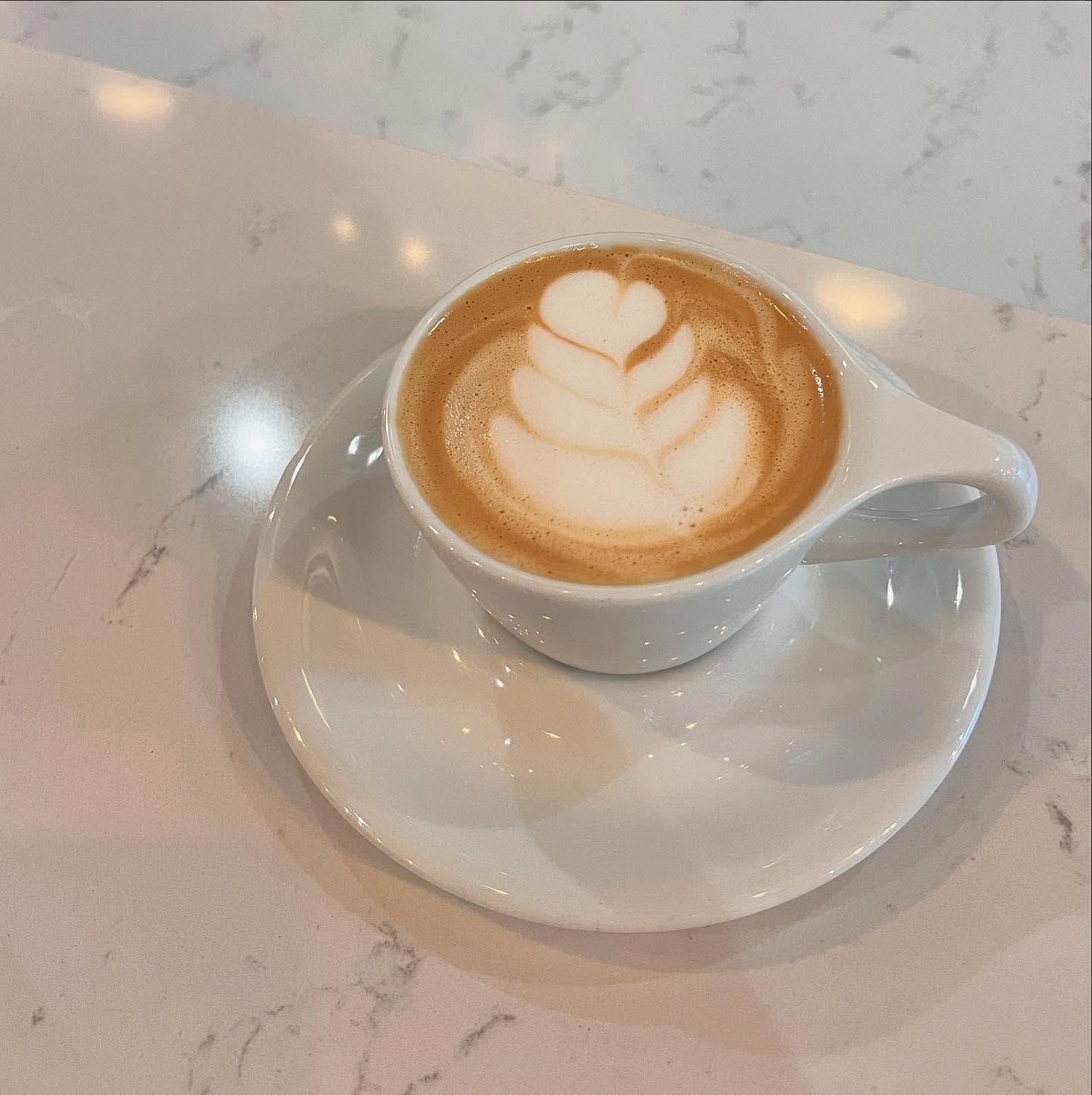 Foxtail Coffee Co - Riverview Riverview