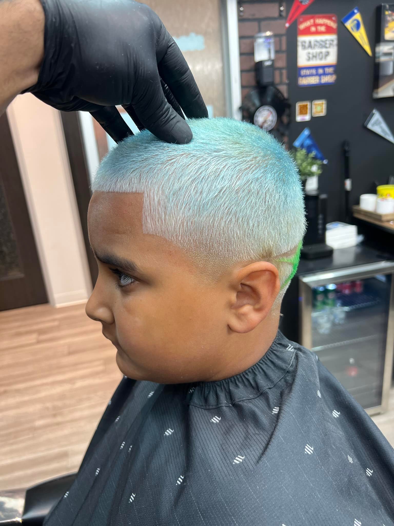 MIKE,S LUXURY CUTZ LLC 12950 US-301, Riverview Florida 33578