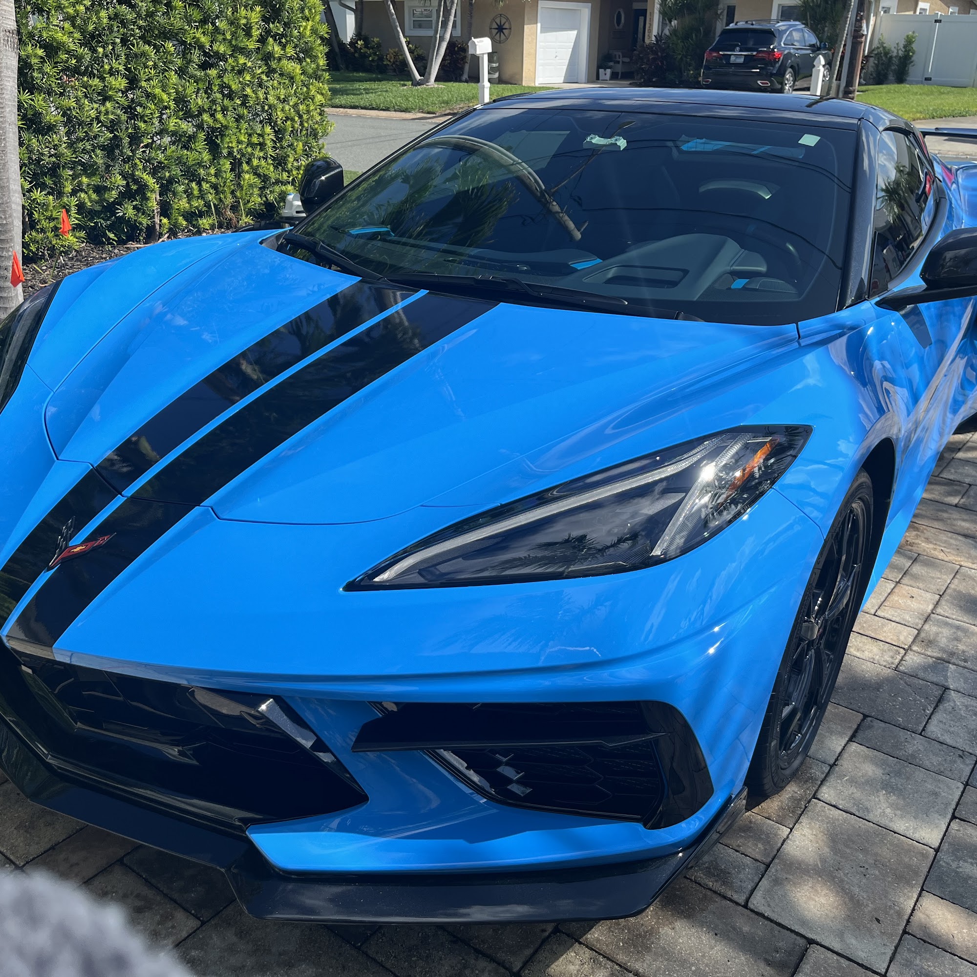 AMP'D Auto Detailing