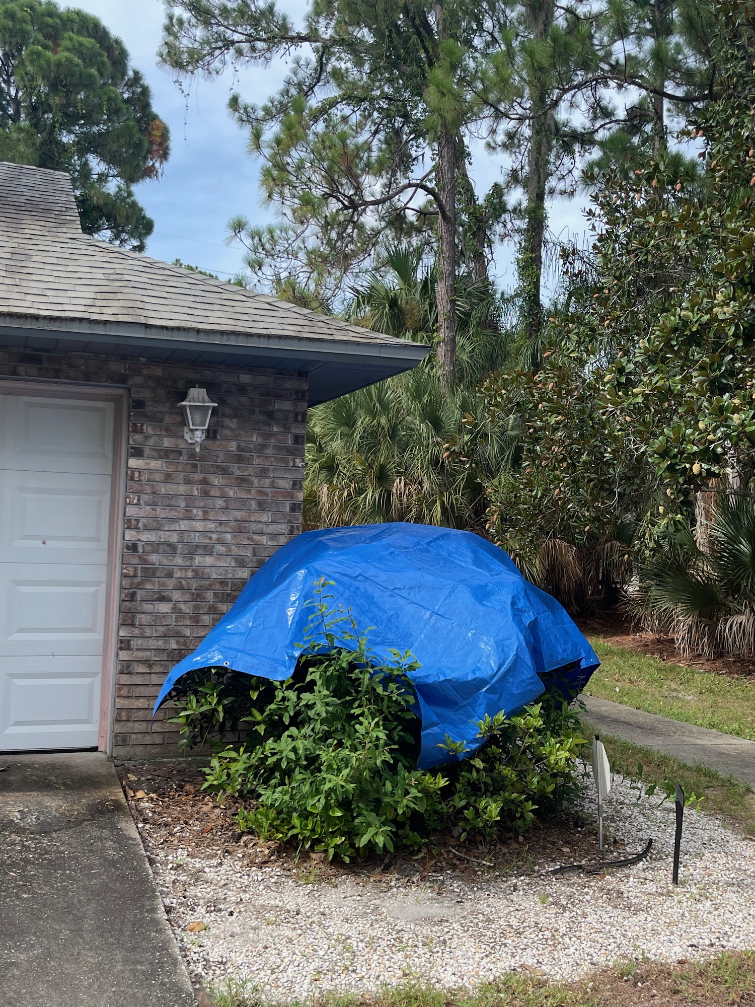 Kenneth Horn Pressure Washing & Roof Cleaning