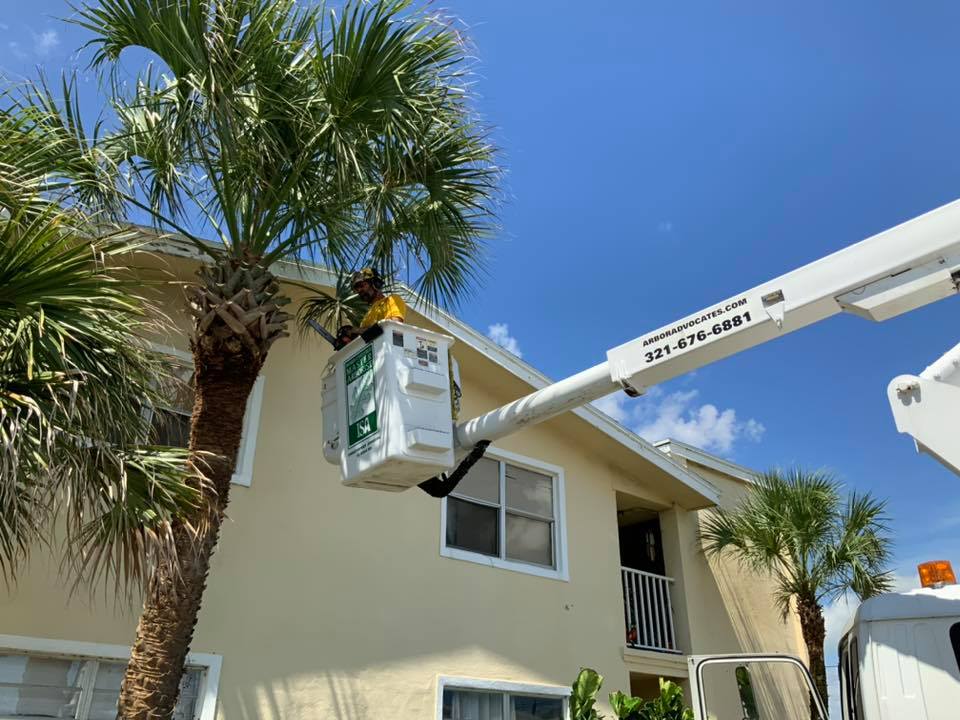 Arbor Advocates, LLC