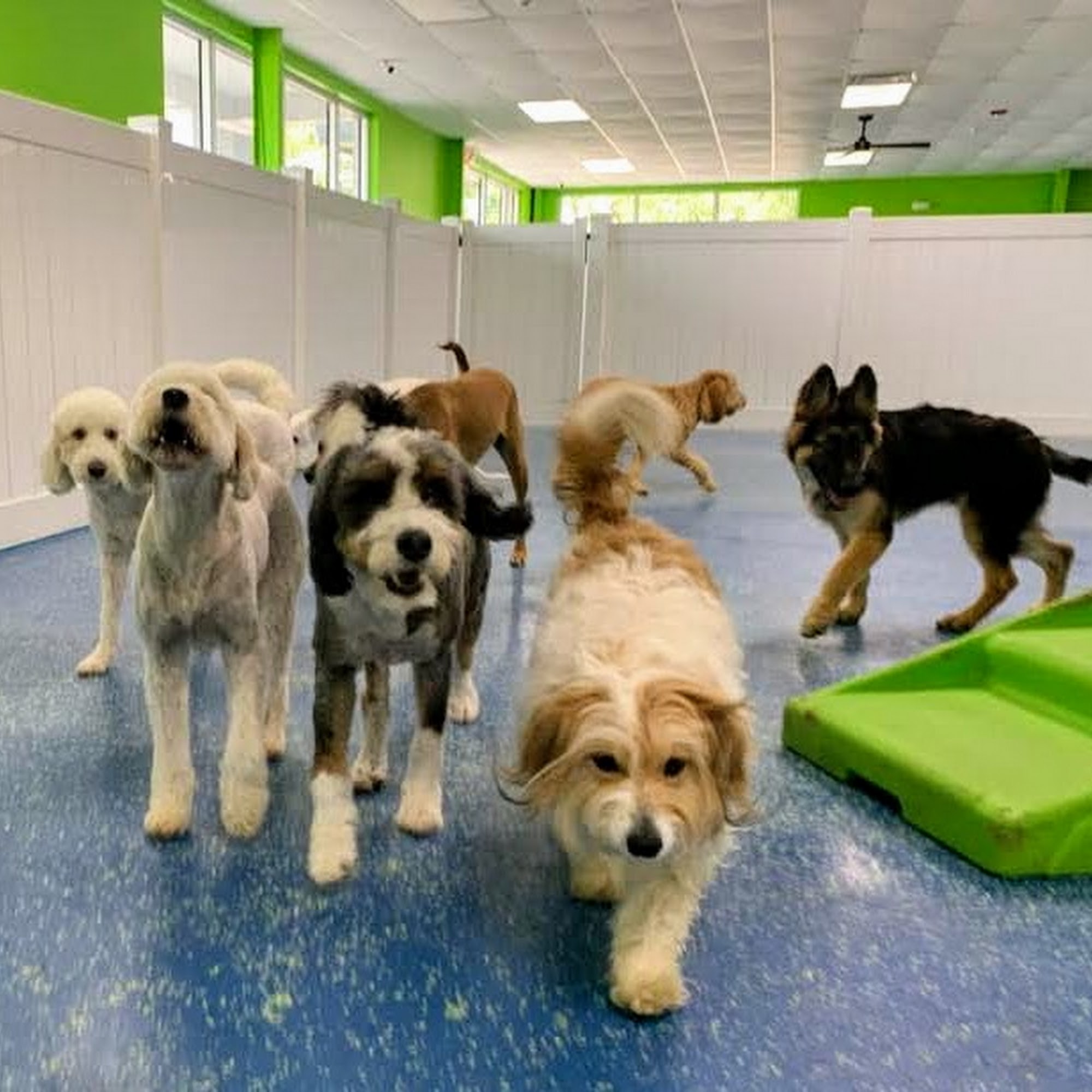 Hounds Town Space Coast Rockledge