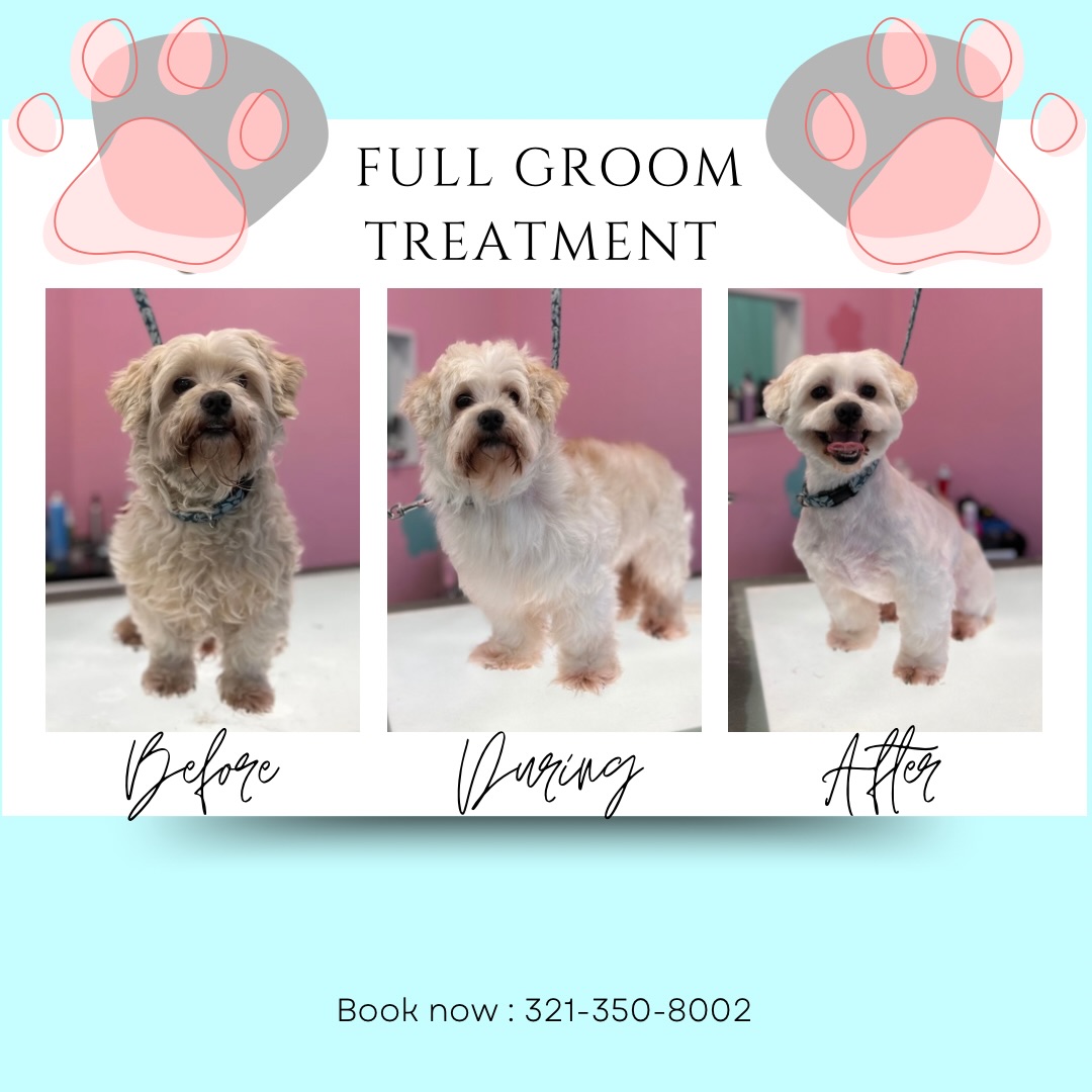 The Paw Spa Pet Grooming Rockledge