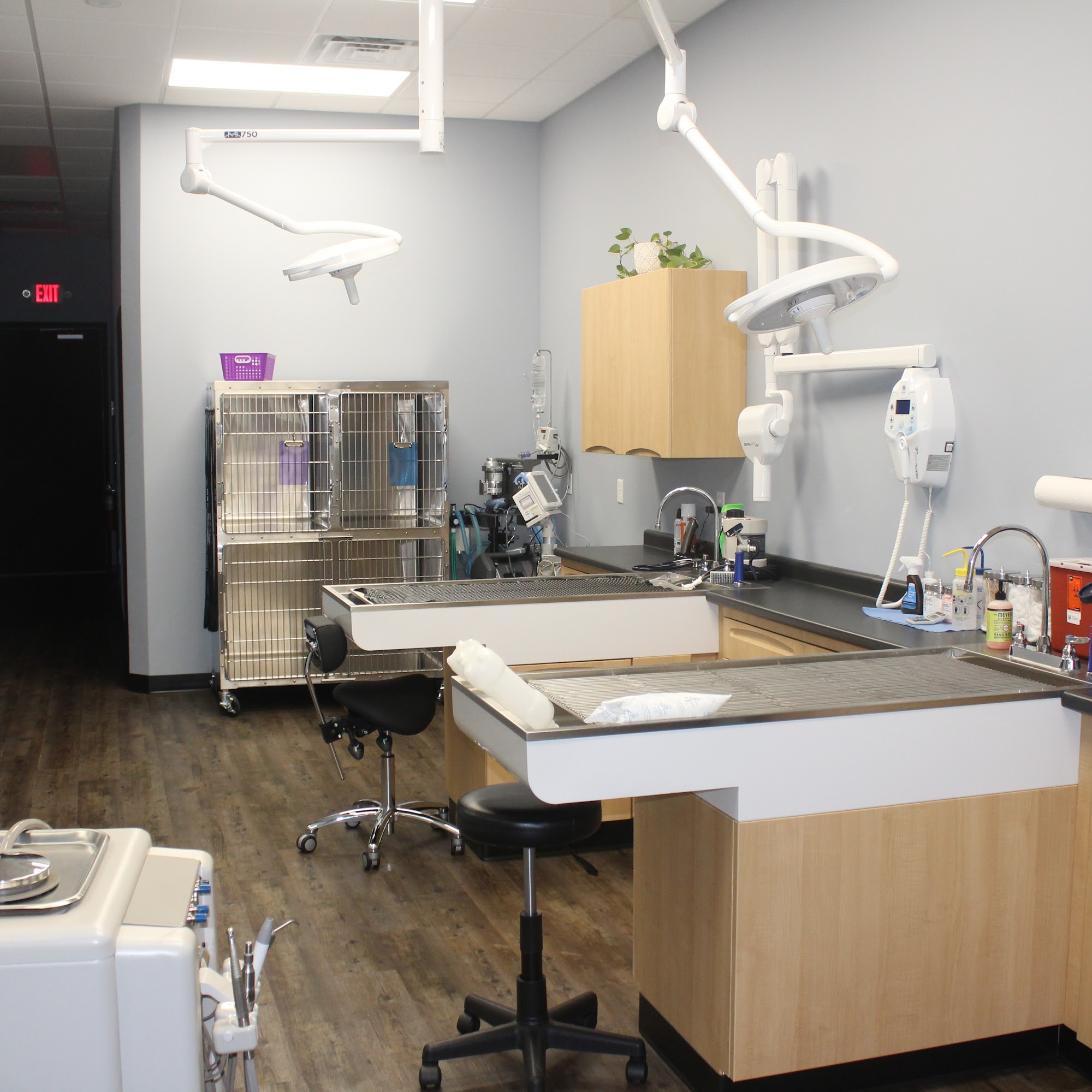 Schroeck Veterinary Care Rockledge