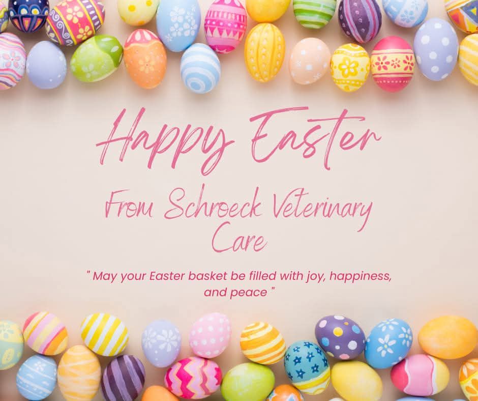 Schroeck Veterinary Care Rockledge