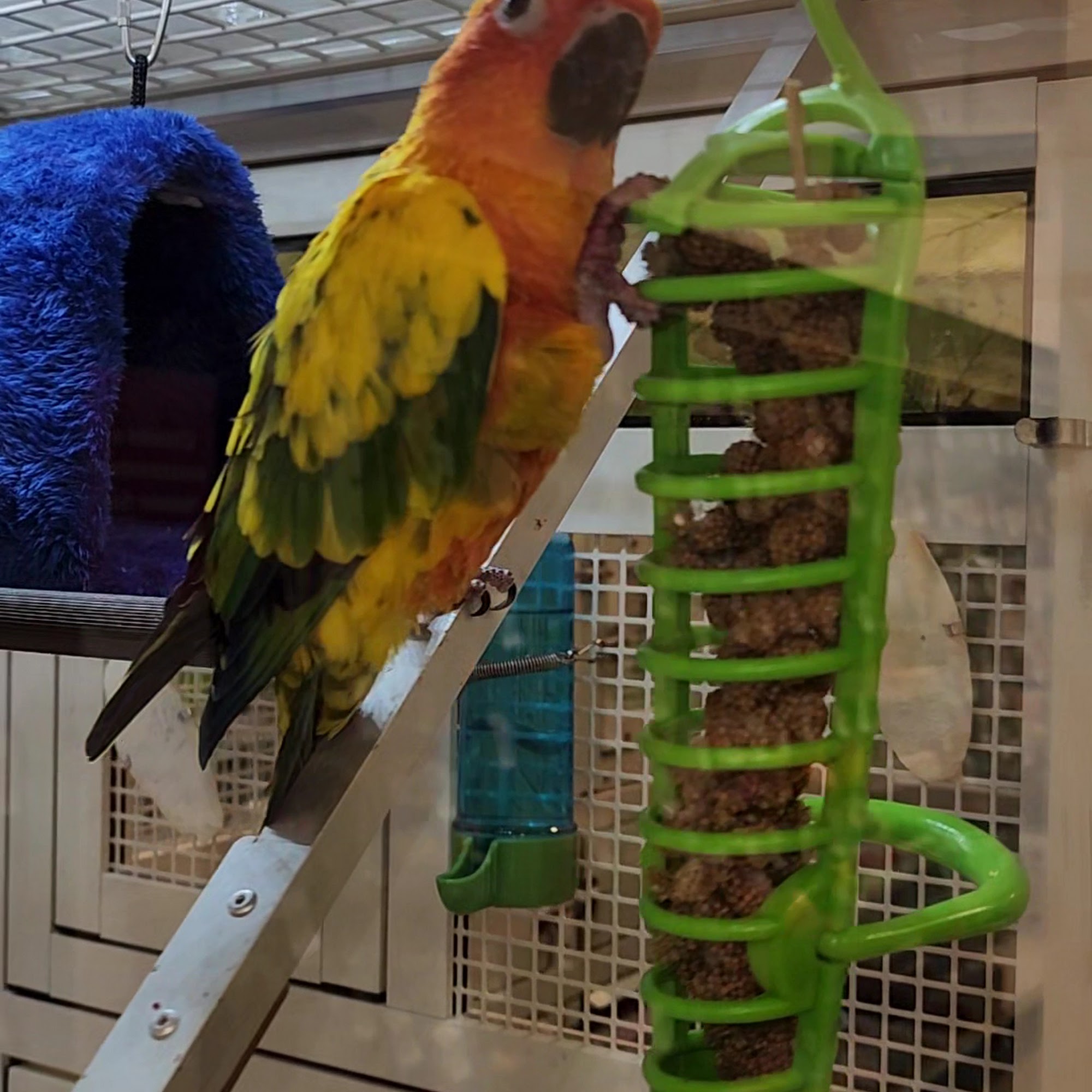 PetSmart Royal Palm Beach
