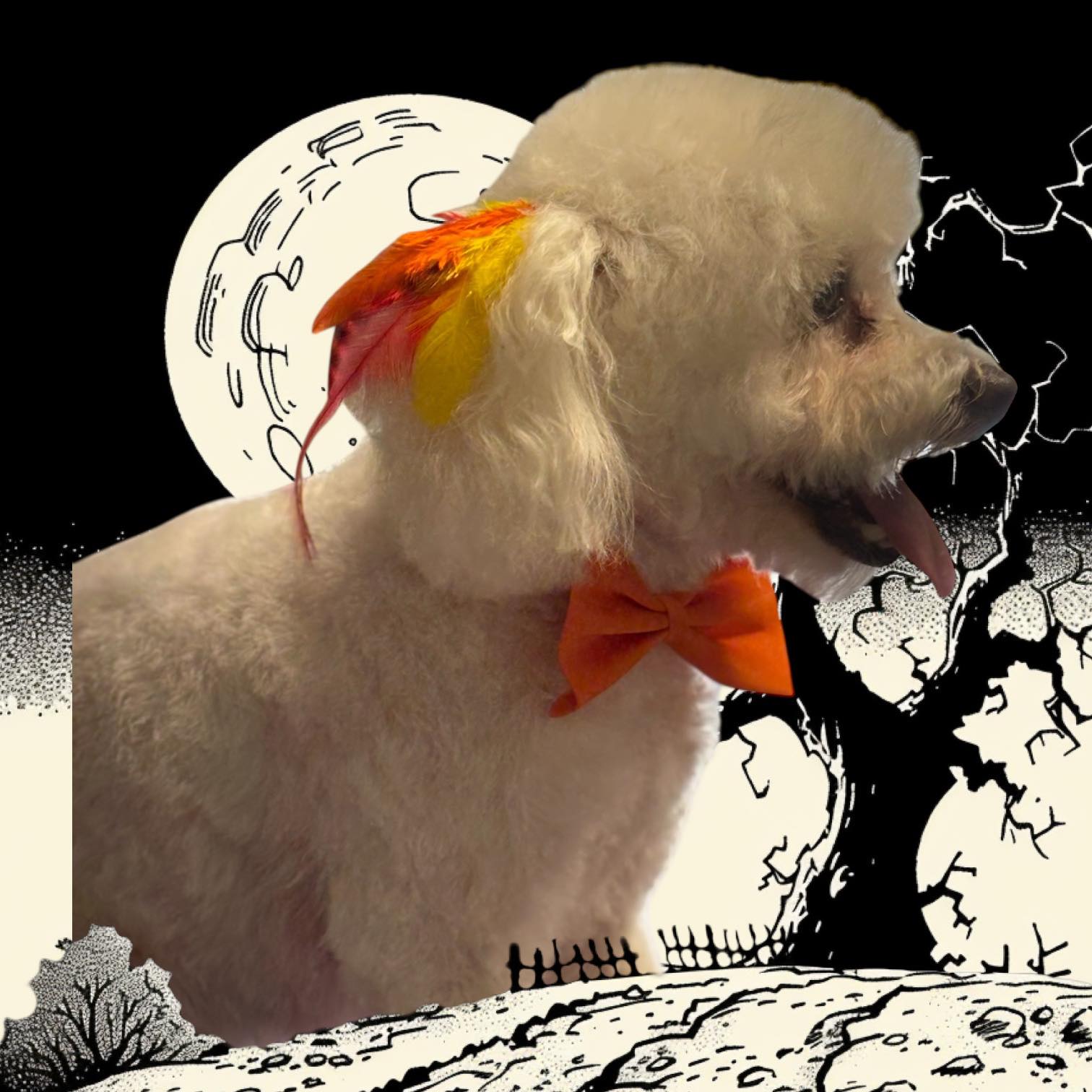 Southshore Pet Grooming Ruskin