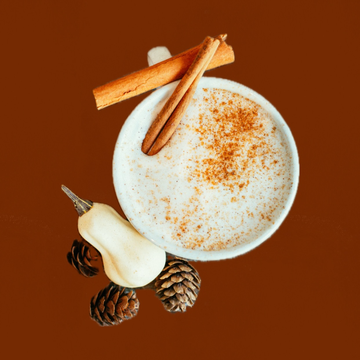 Café Vino Tinto Safety Harbor