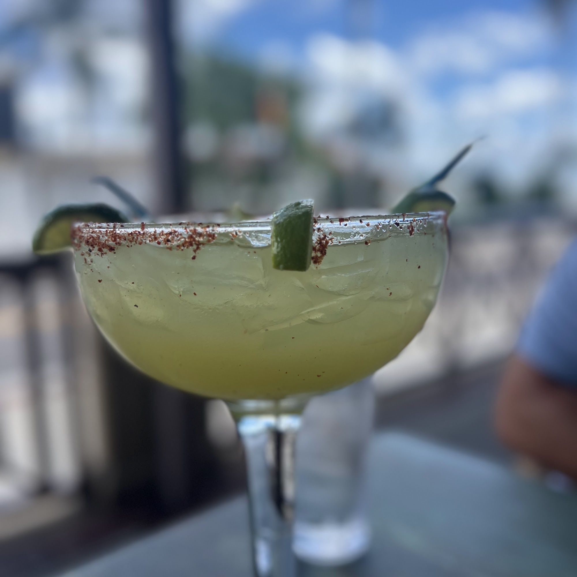 Bar fly Safety Harbor Safety Harbor