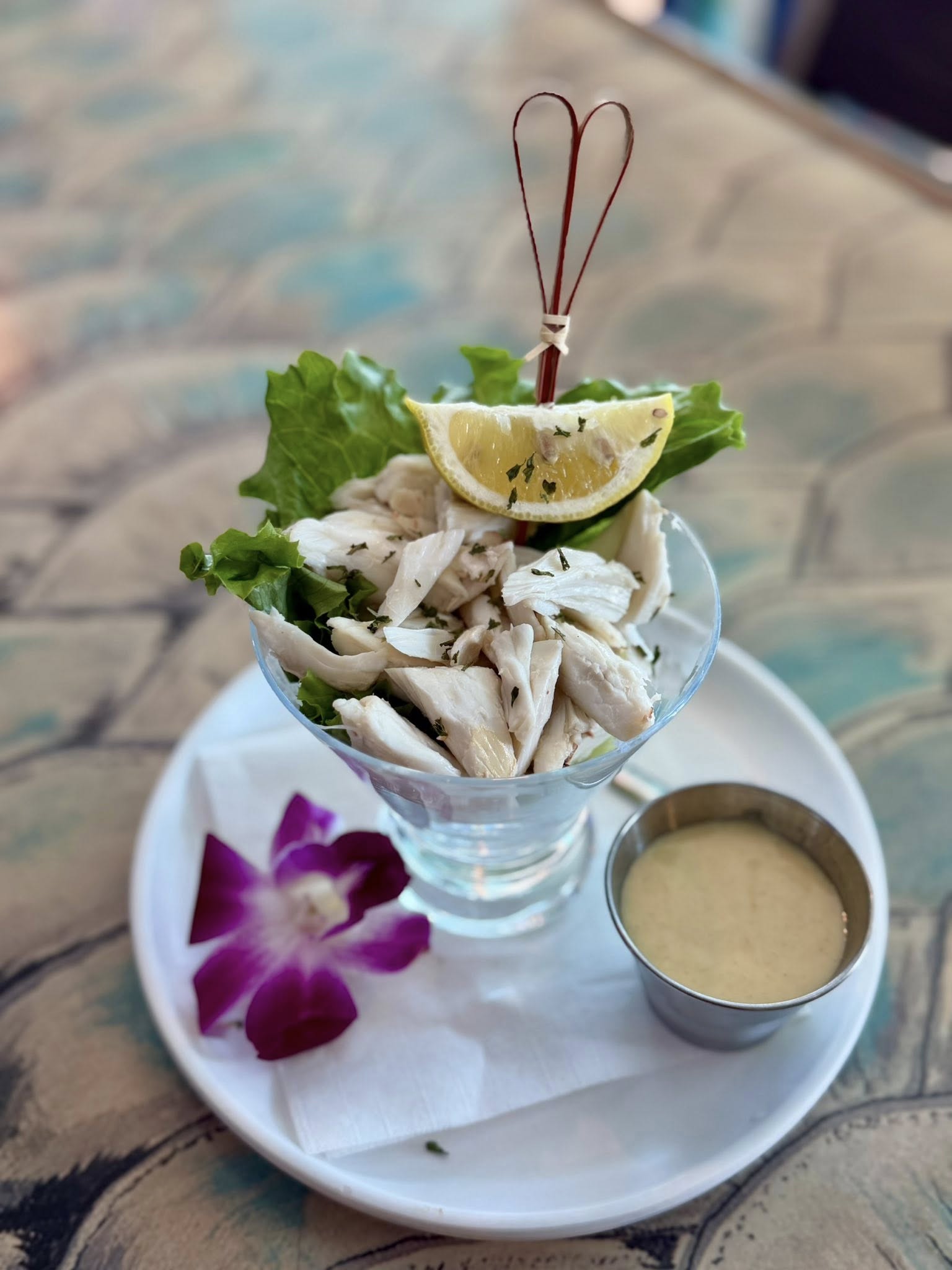 Bar fly Safety Harbor Safety Harbor