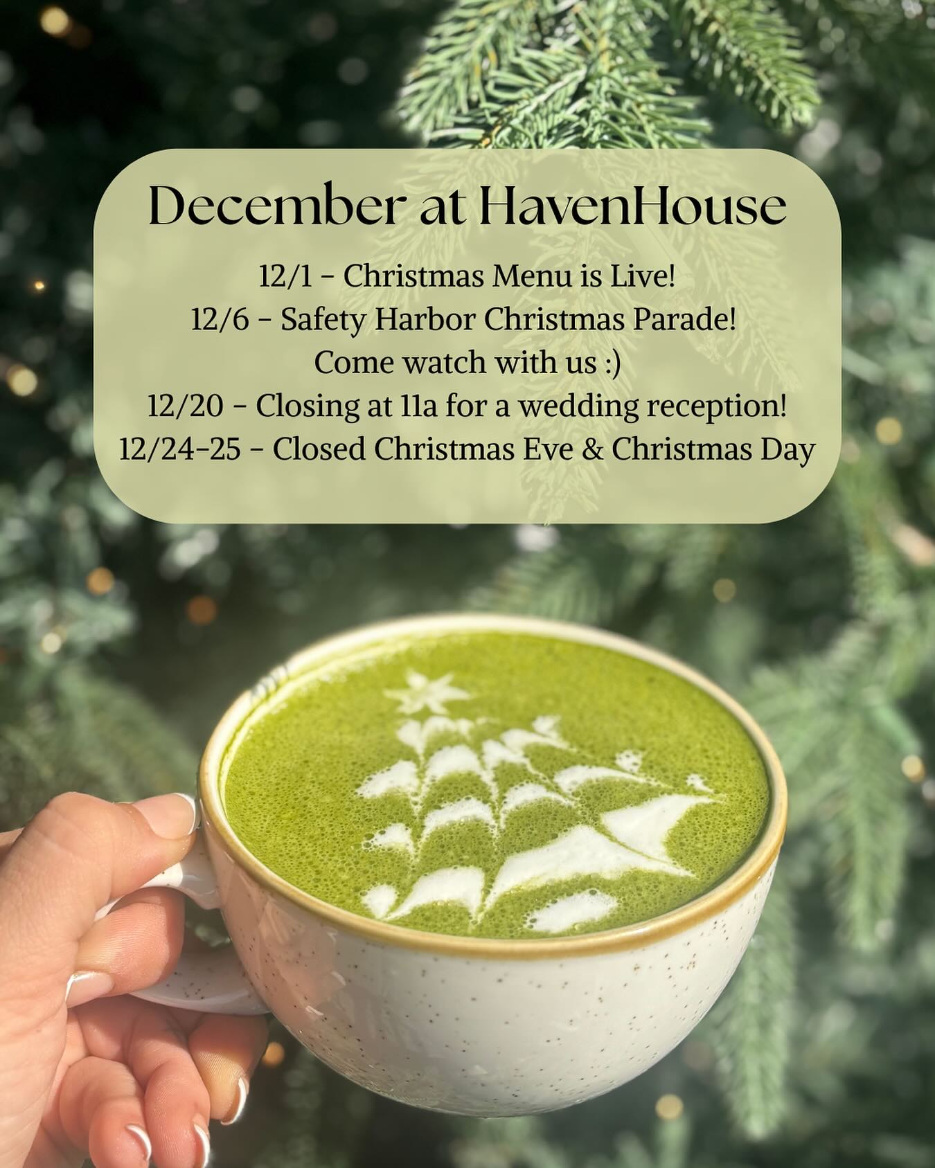 HavenHouse Eatery and Coffee Bar Safety Harbor