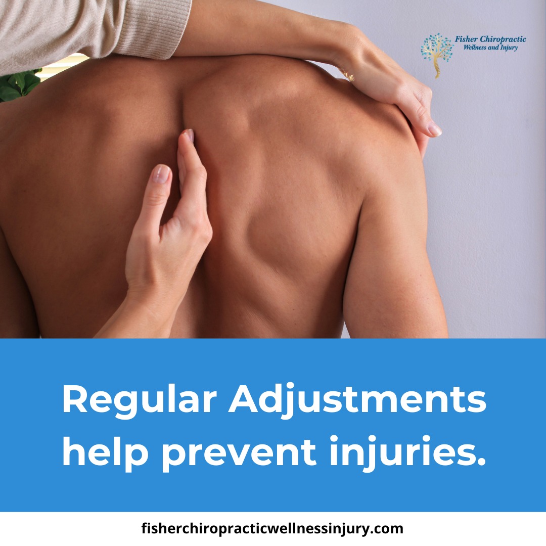 Fisher Chiropractic Wellness and Injury Safety Harbor 146 8th Ave N, Safety Harbor Florida 34695