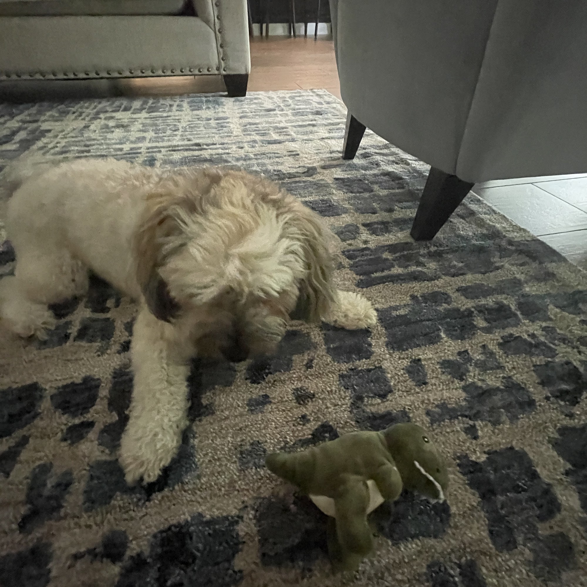 Animal Medical Clinic-St Johns Saint Johns