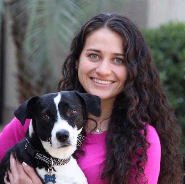 Switzerland Animal Hospital Saint Johns