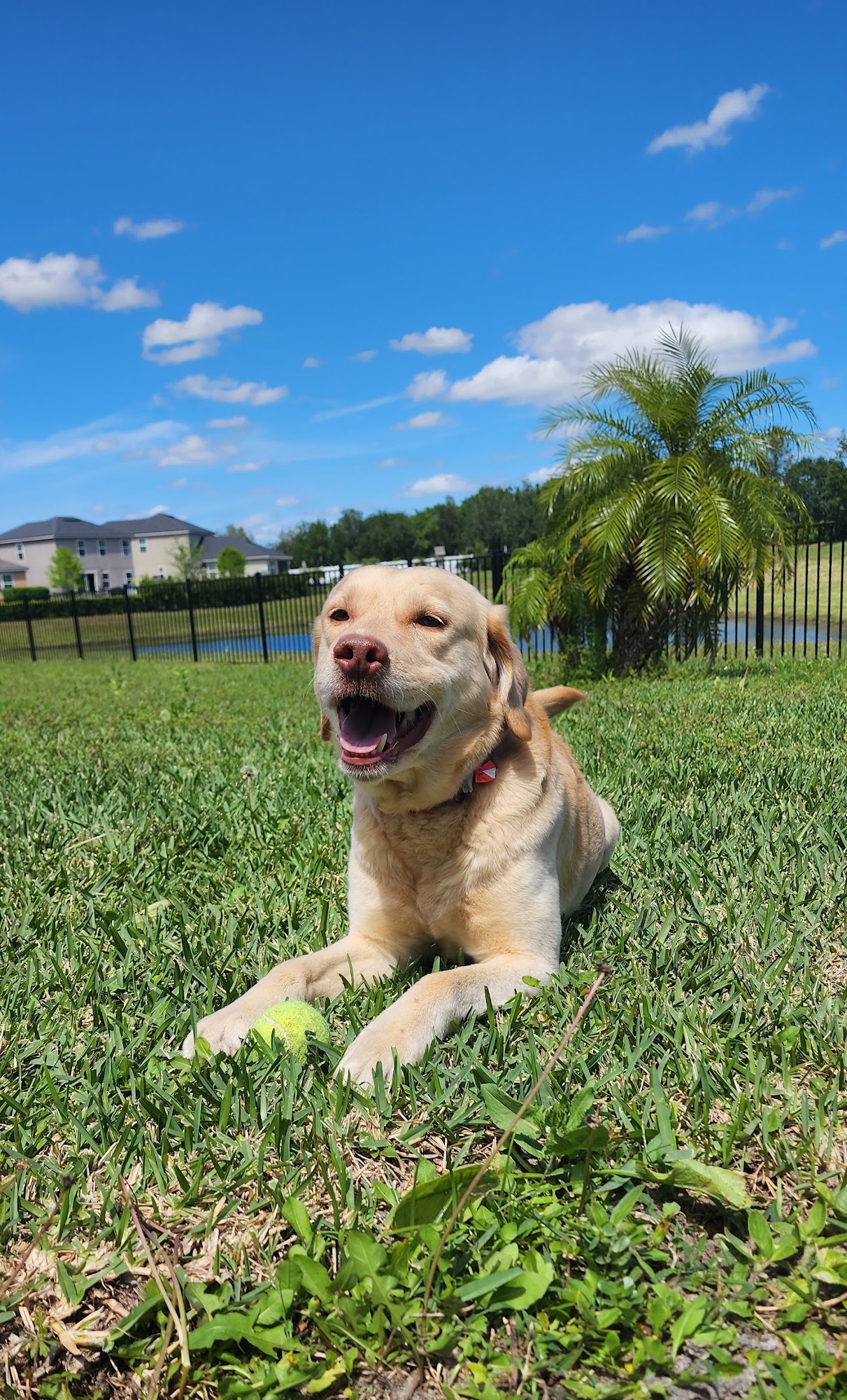 Forever Vets Animal Hospital at Race Track Saint Johns