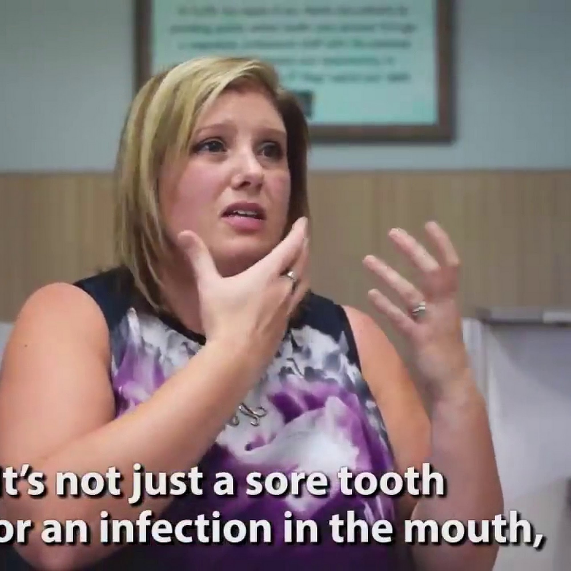 Northeast Animal Hospital Saint Petersburg