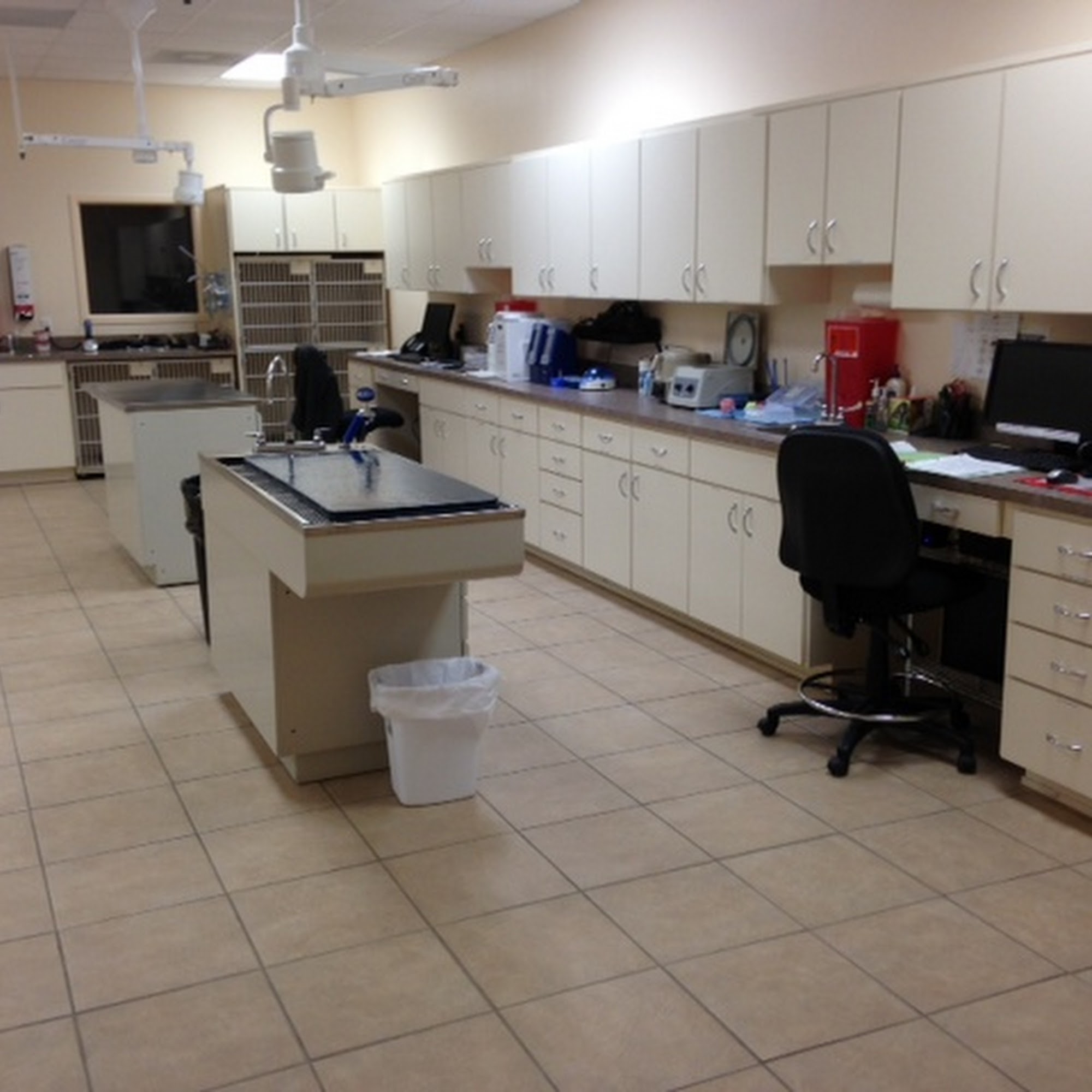 4th Street Pet Hospital Saint Petersburg