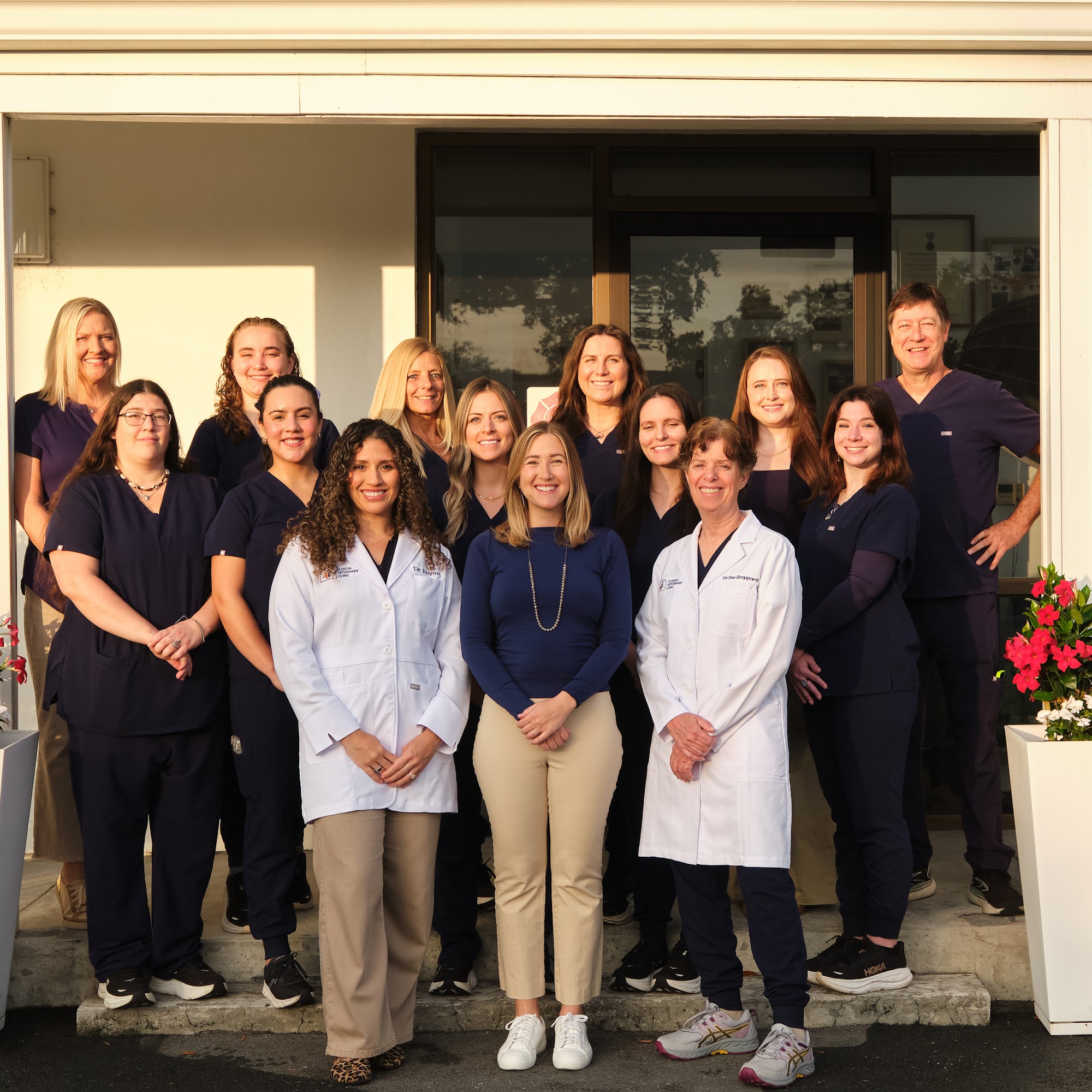 Florida Veterinary Clinic Saint Petersburg