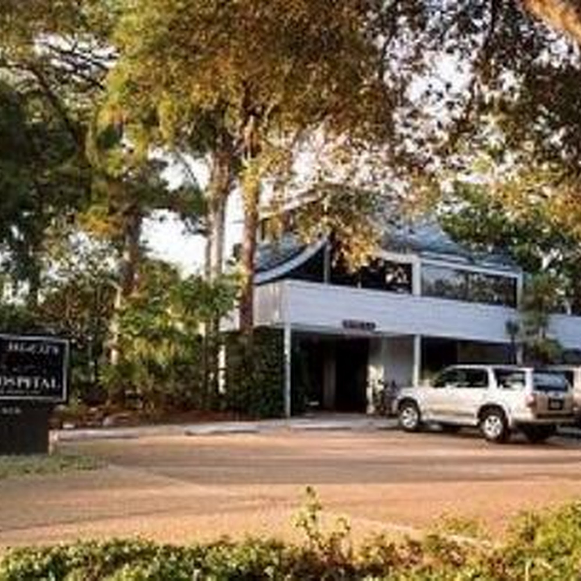 Cat Hospital On Park Street Saint Petersburg