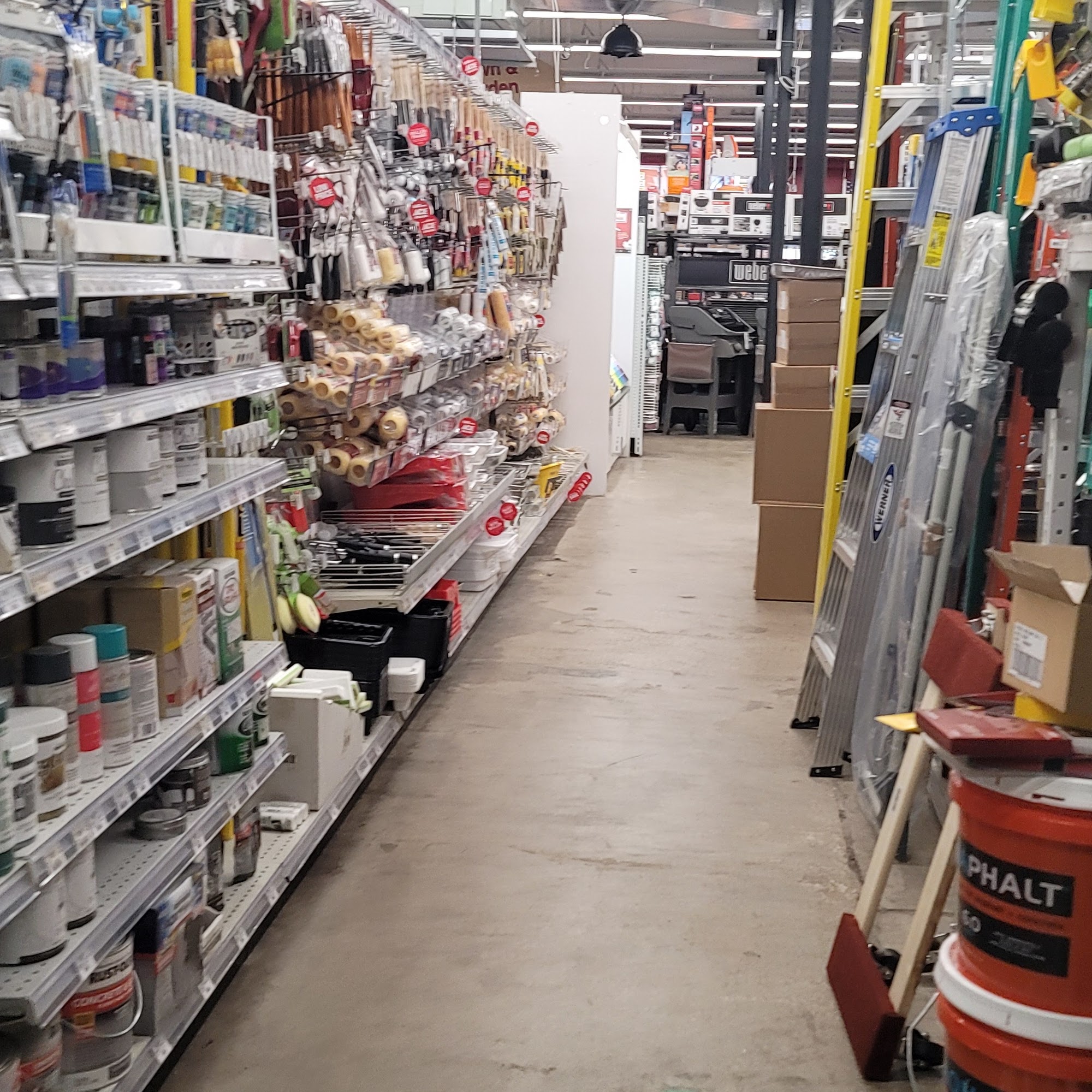 Ace hardware store Saint Petersburg