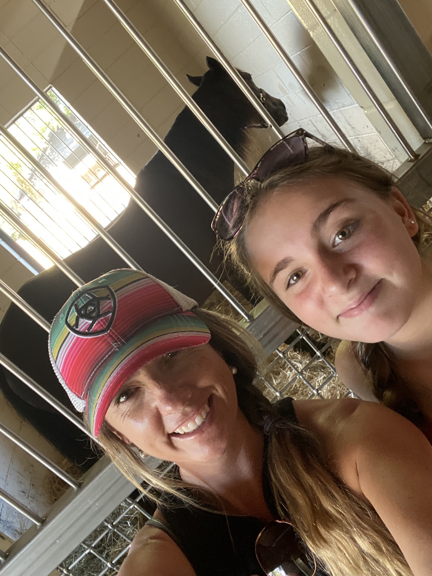 Central Florida Equine Sanford