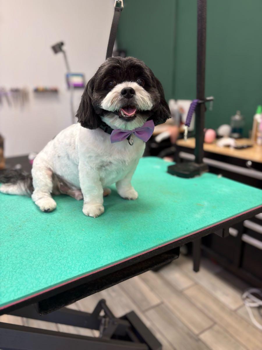 Pecas Grooming & Boarding Sanford