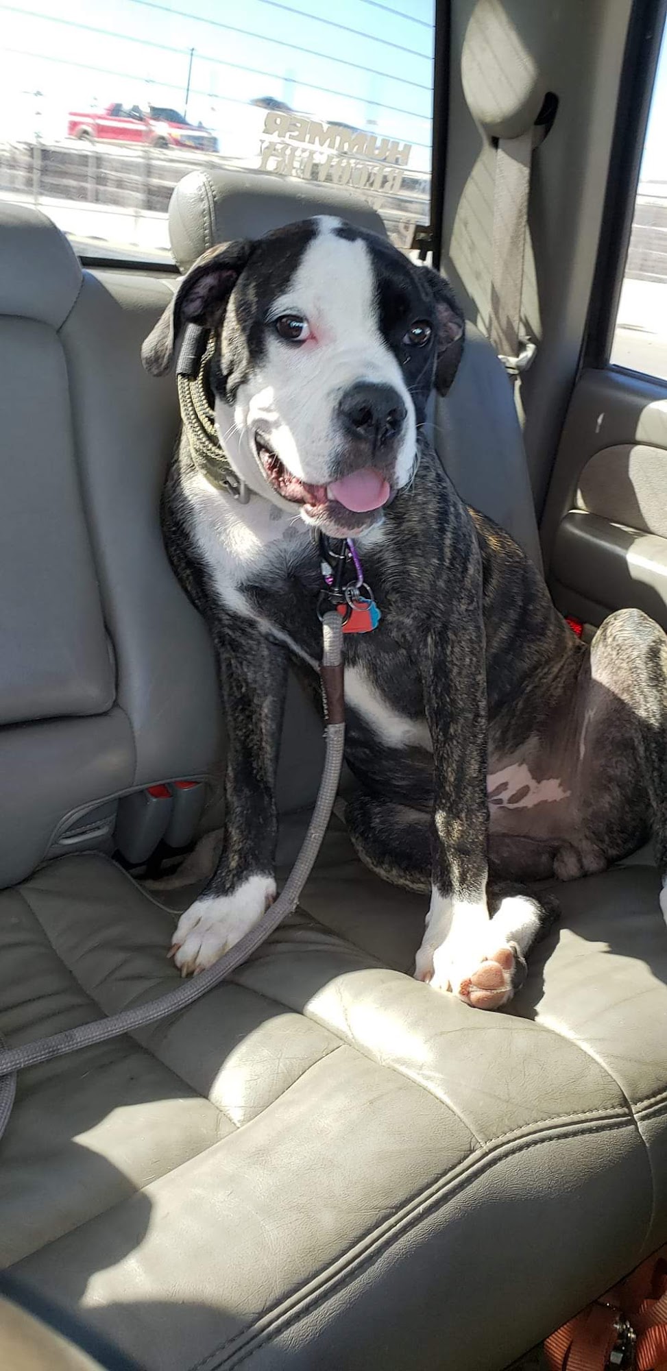 Vetco Total Care Animal Hospital Sanford