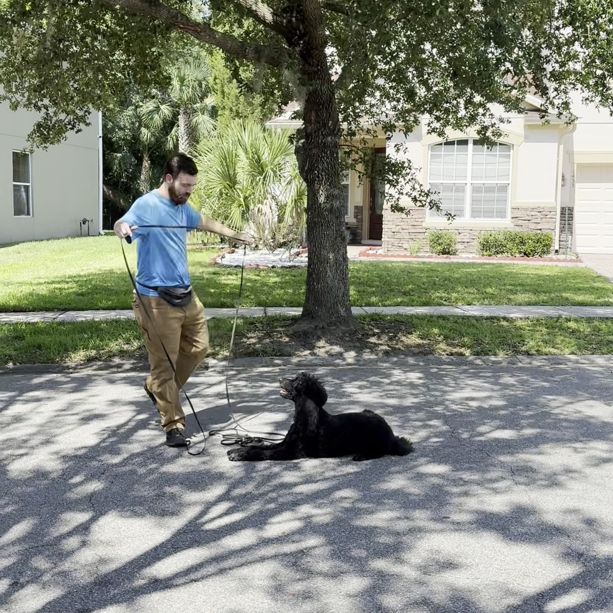 Elite Professional Dog Training Sanford