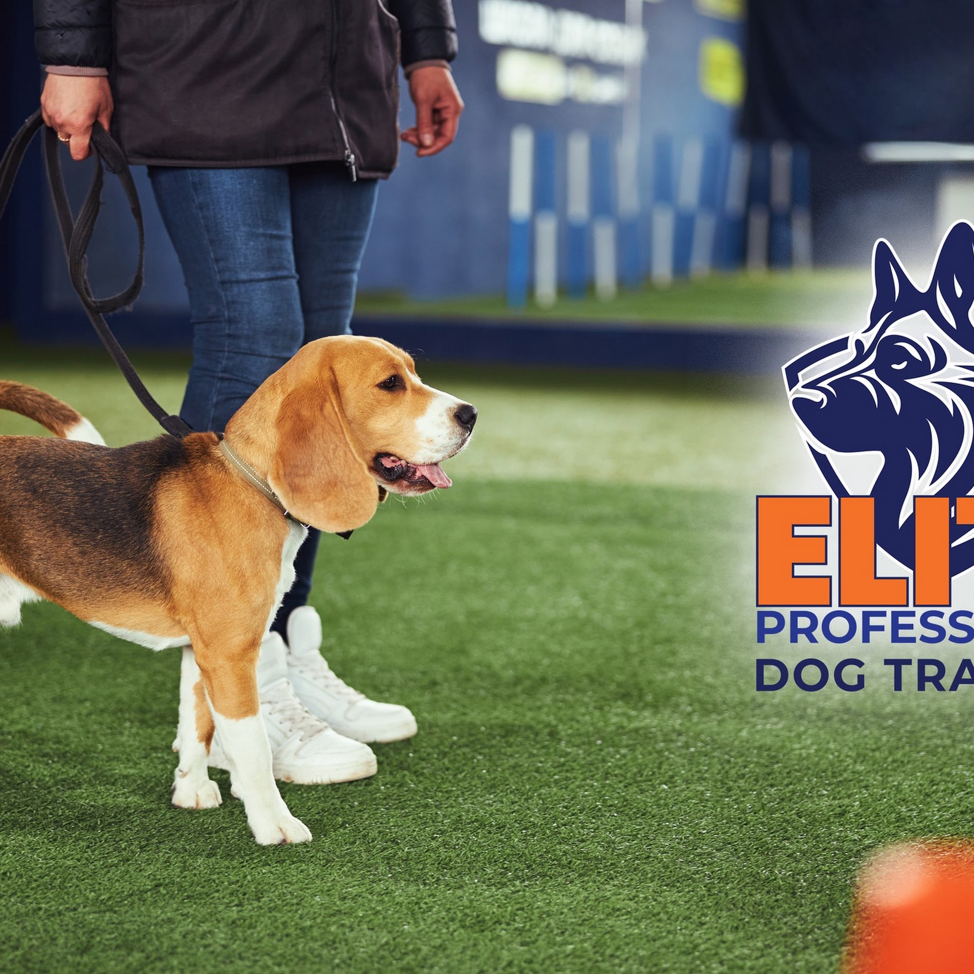 Elite Professional Dog Training