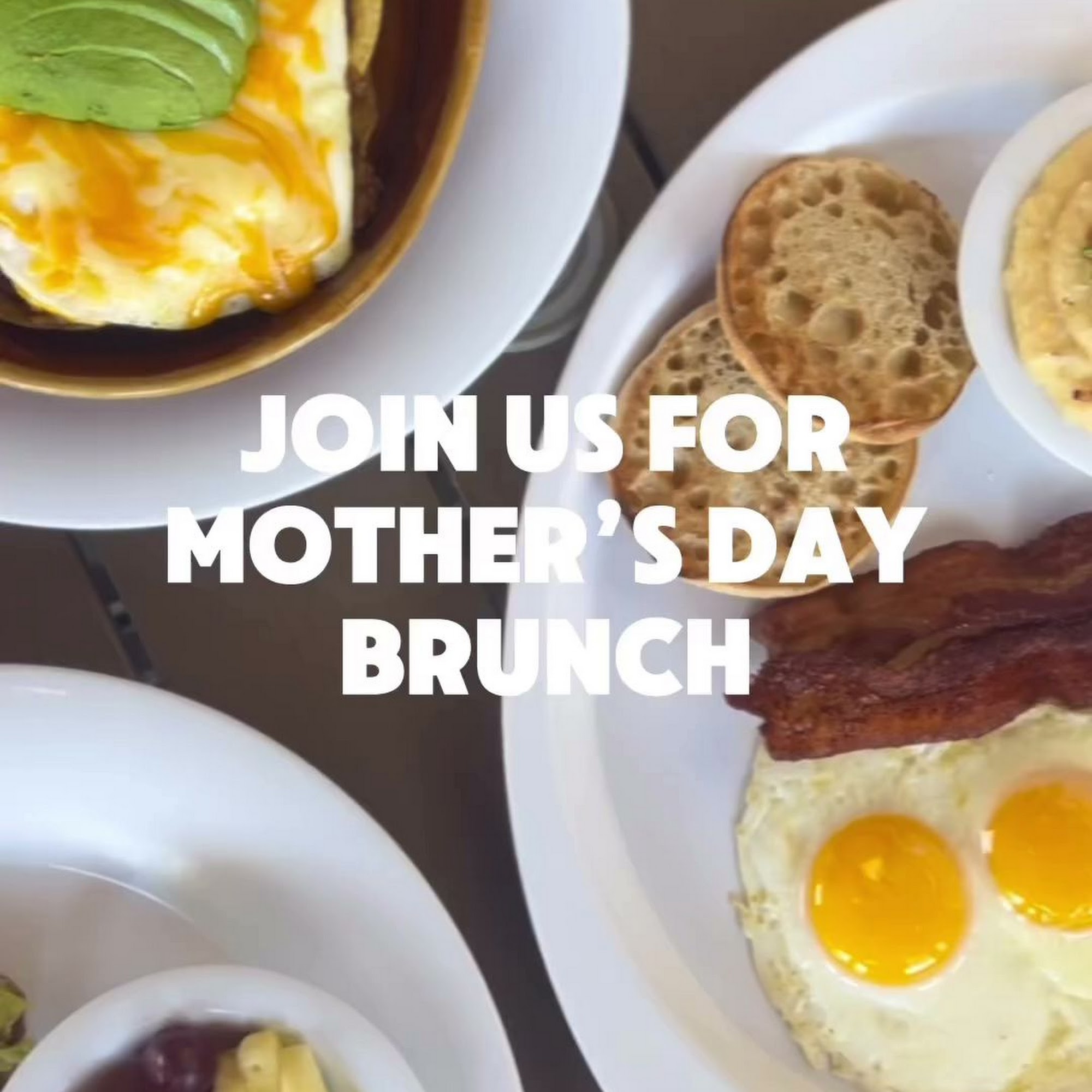 Crackings. - Grayton Santa Rosa Beach