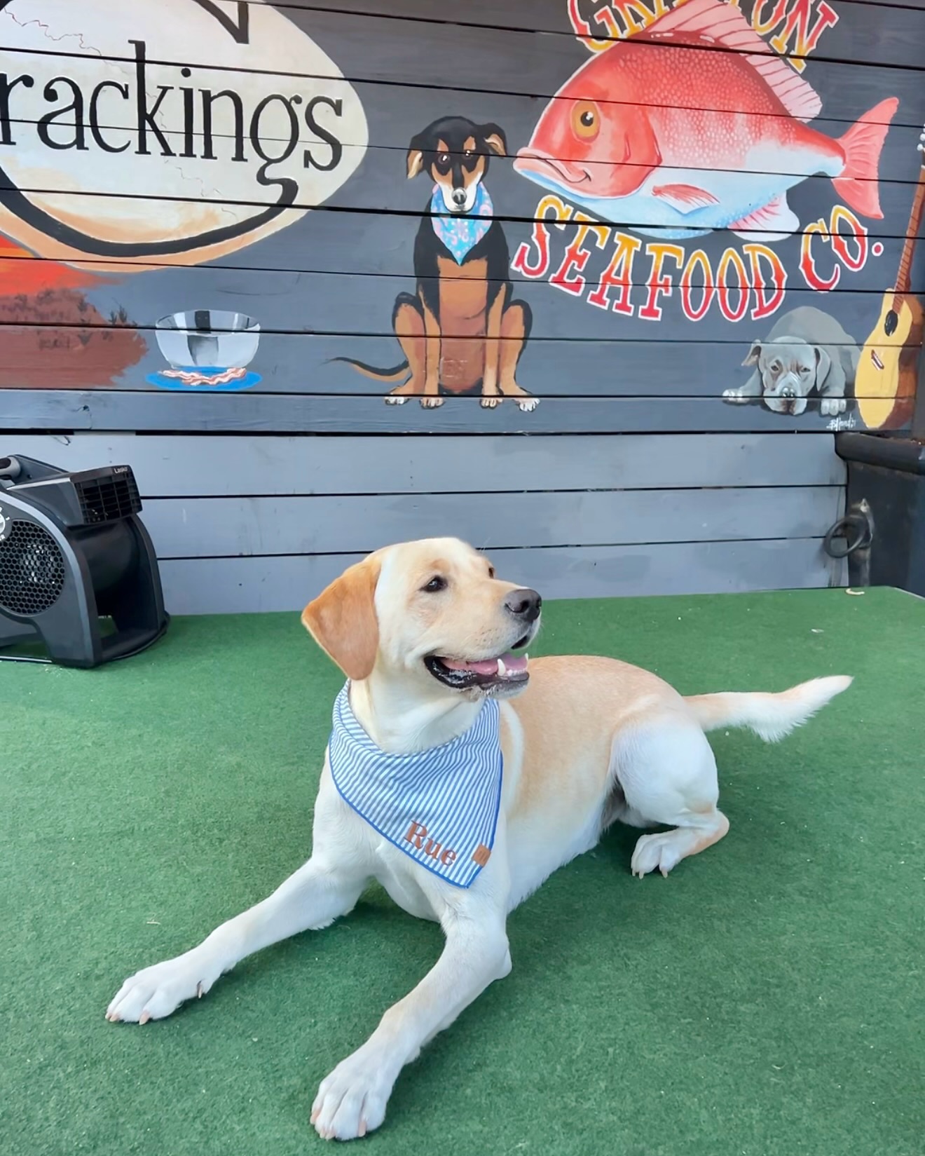 Crackings. - Grayton Santa Rosa Beach