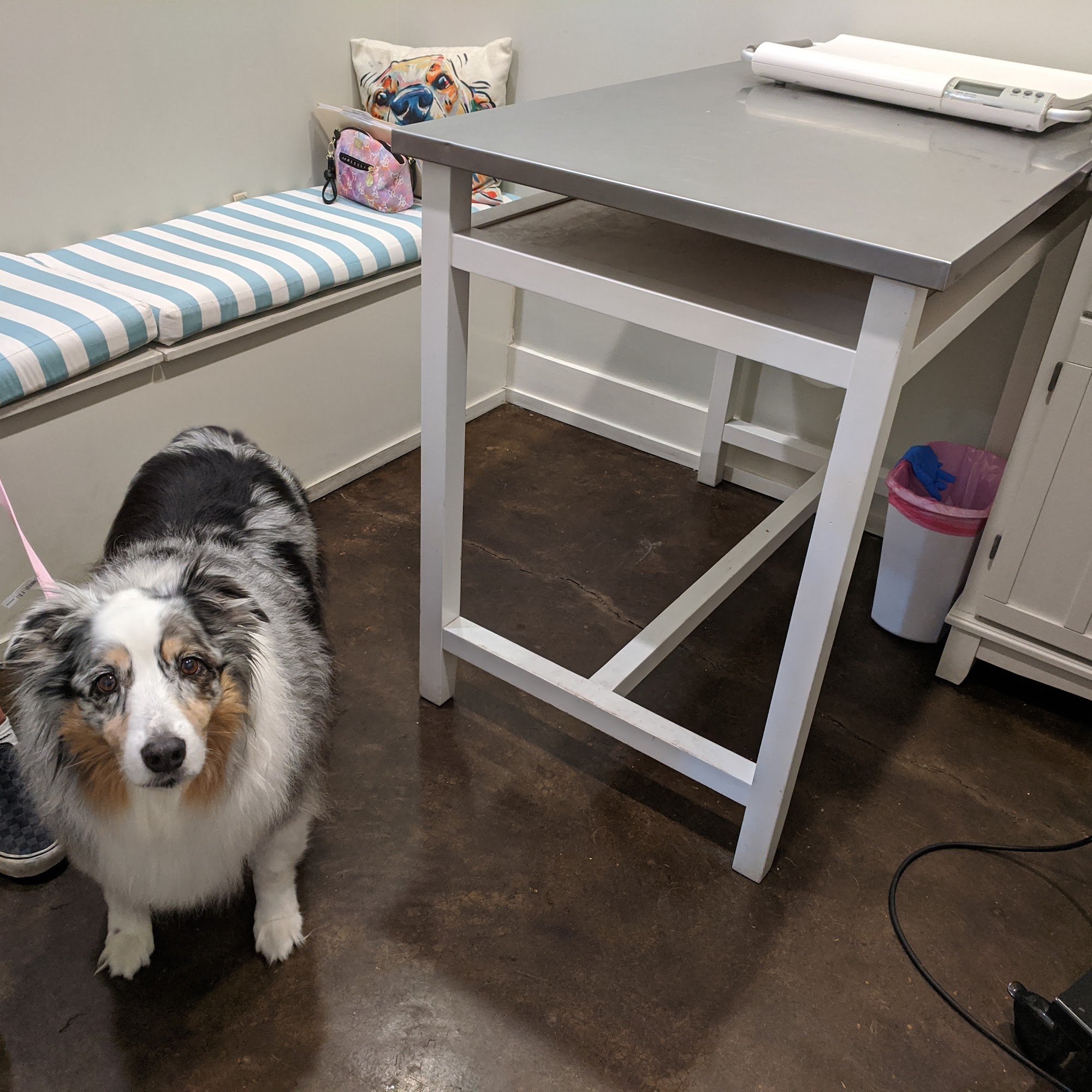 30A Vet Santa Rosa Beach