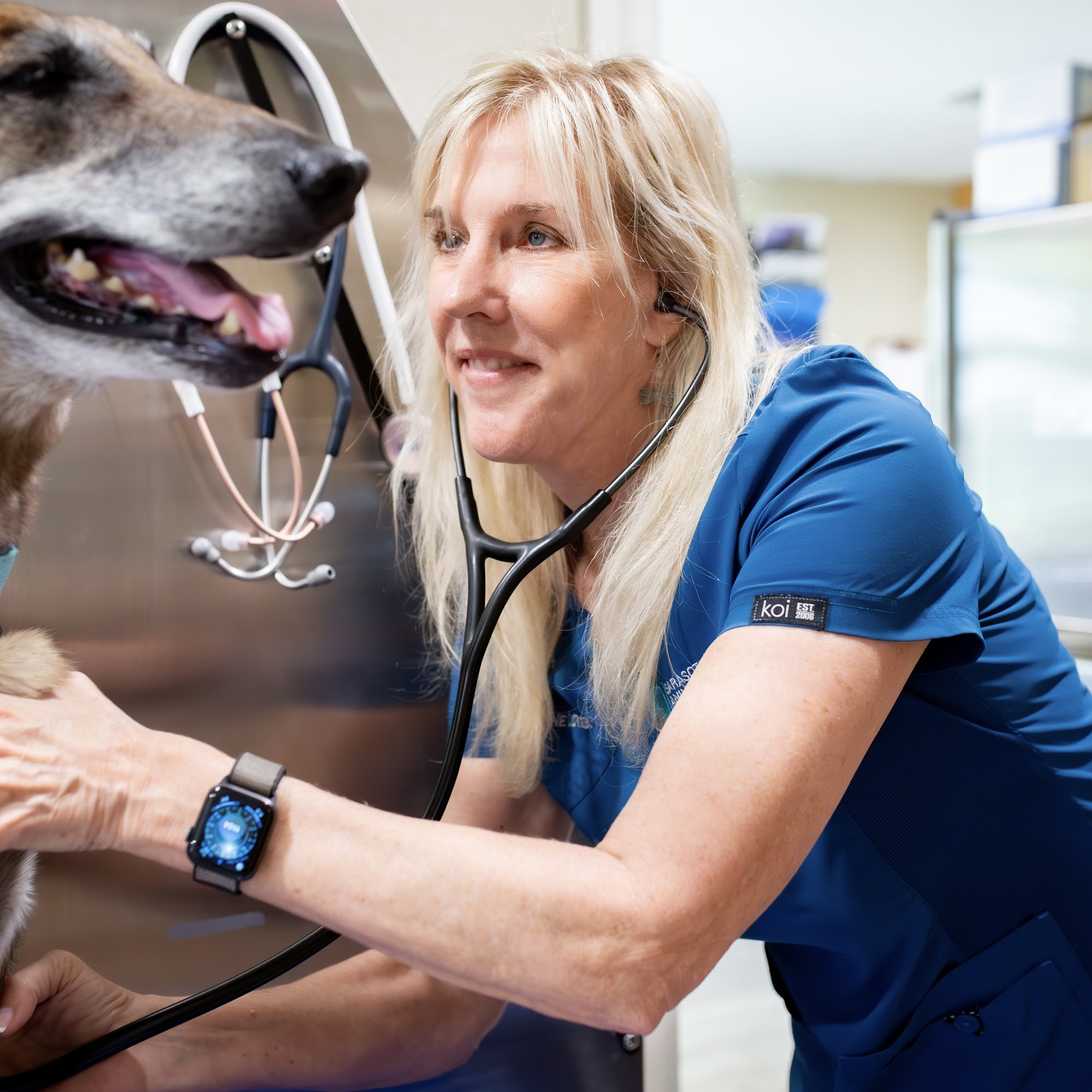 Sarasota Animal Medical Center Sarasota