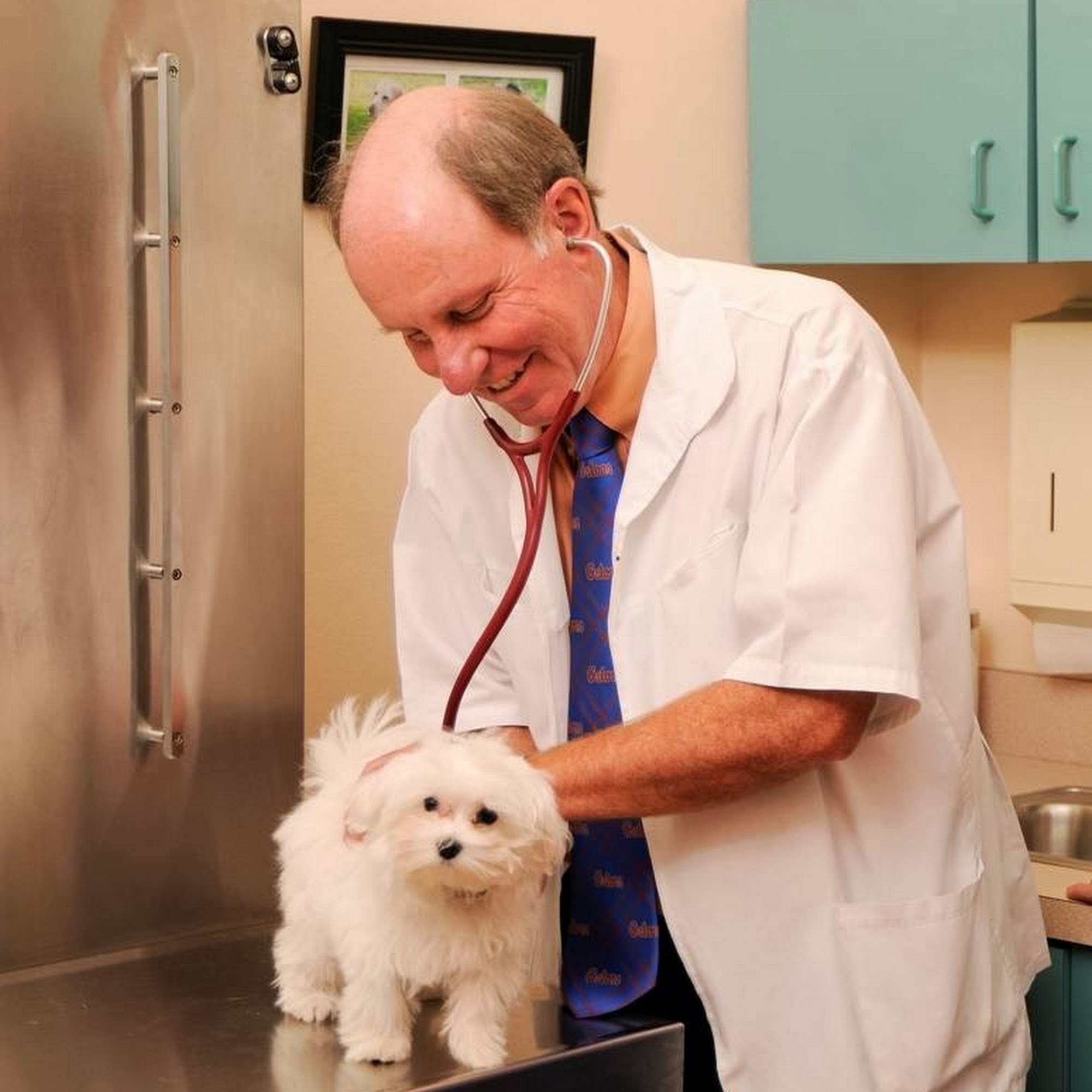 Bay Road Animal Hospital Sarasota