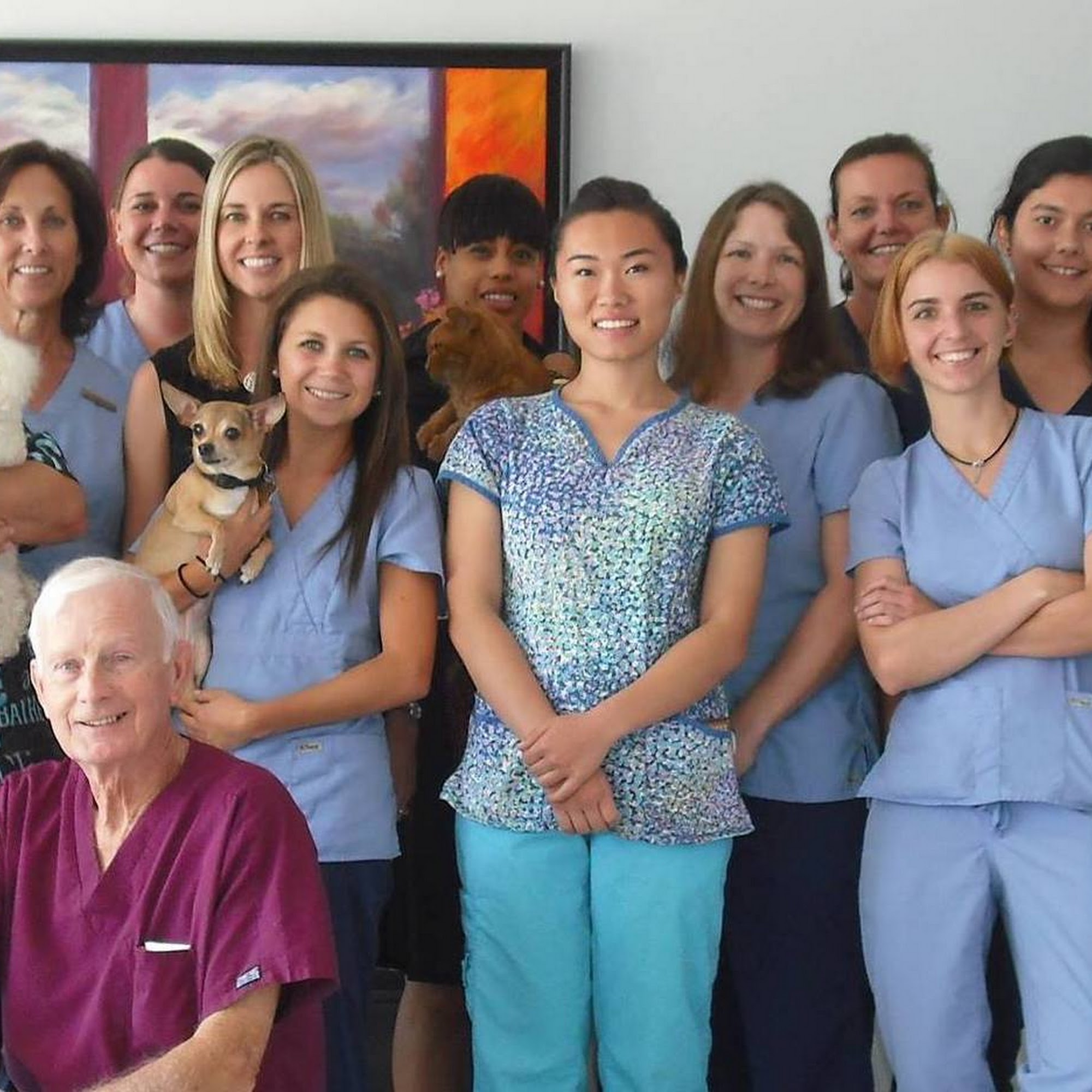 Palmer Ranch Animal Clinic Sarasota