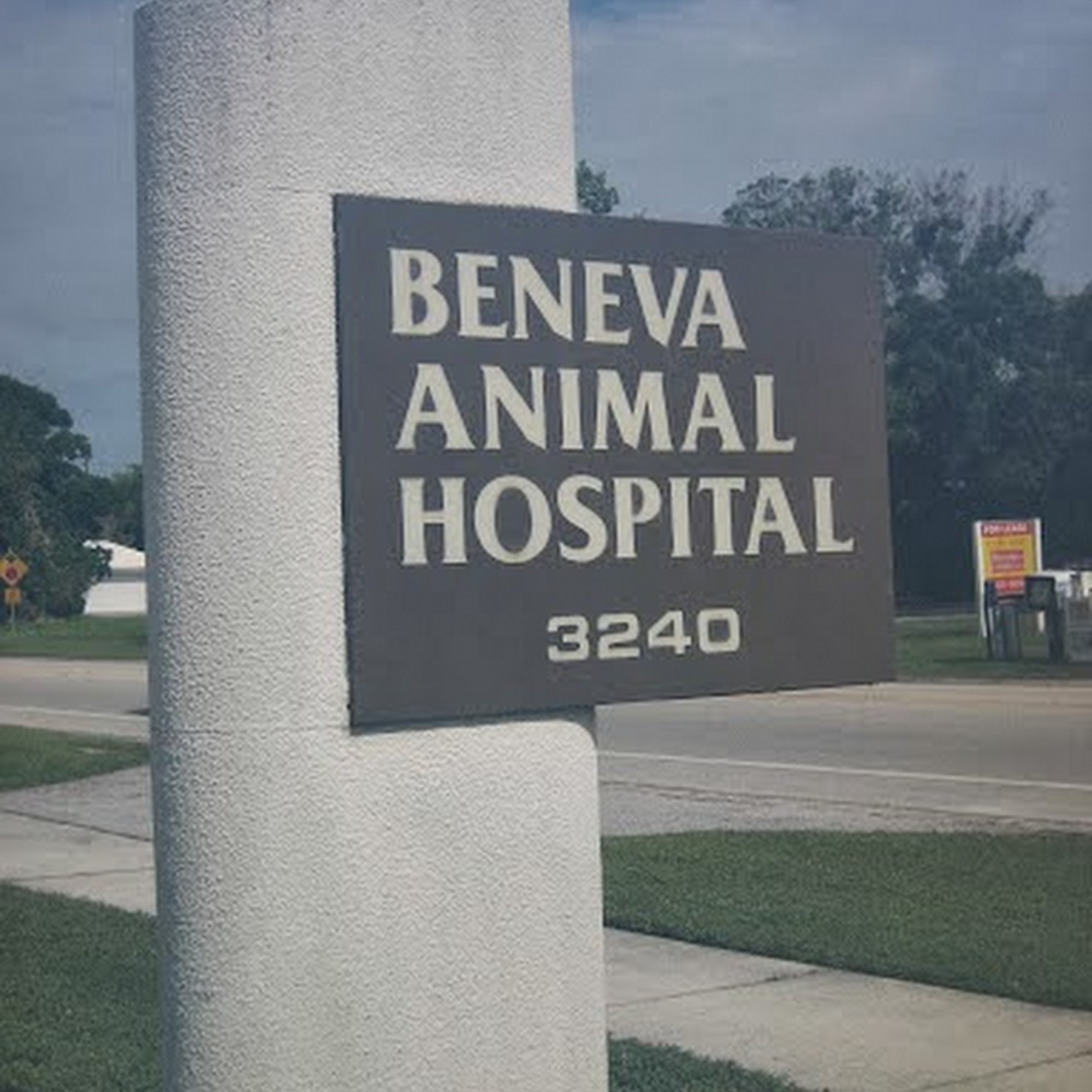 Beneva Animal Hospital Inc Sarasota