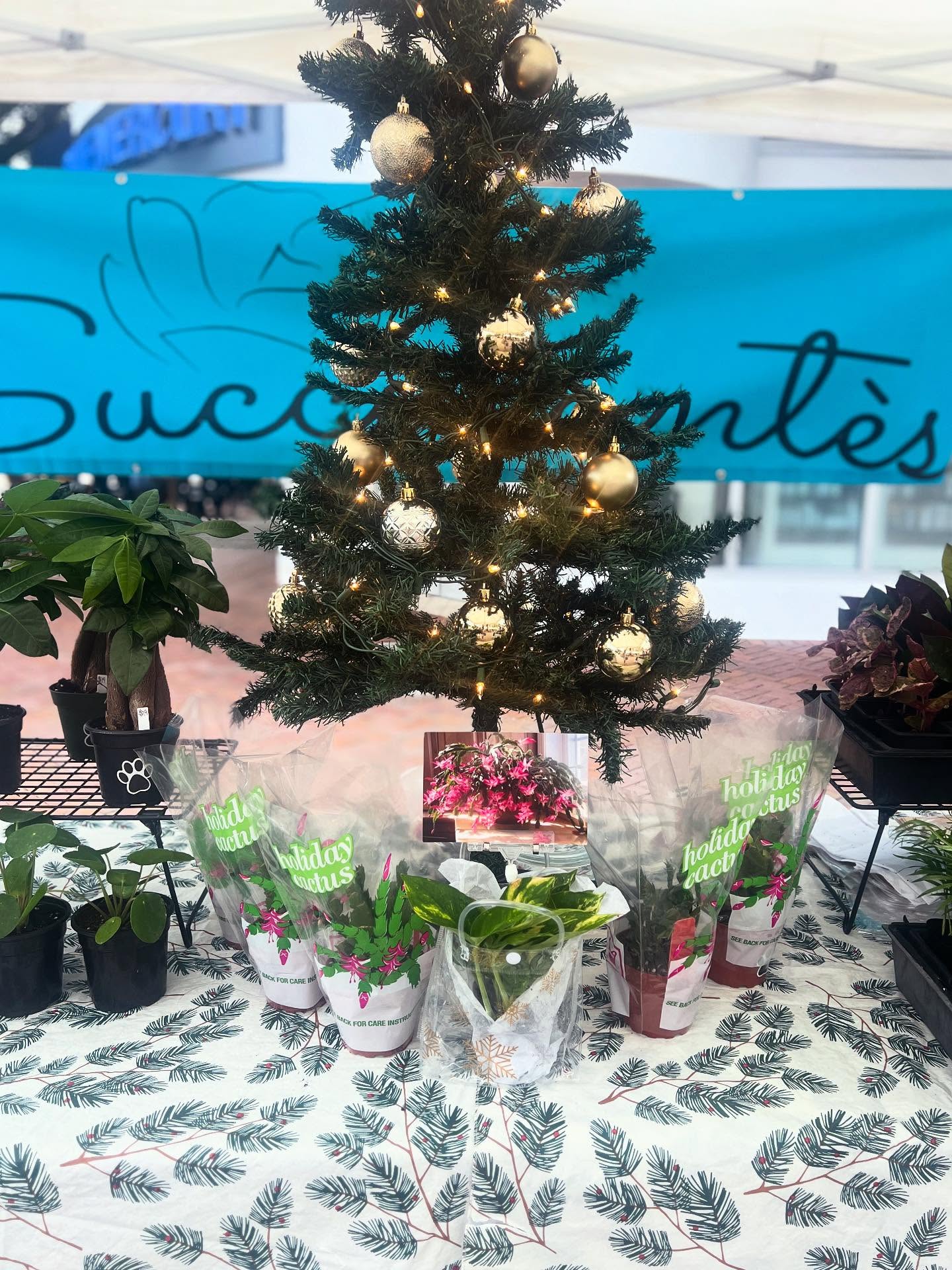 Sarasota Farmers Market Sarasota