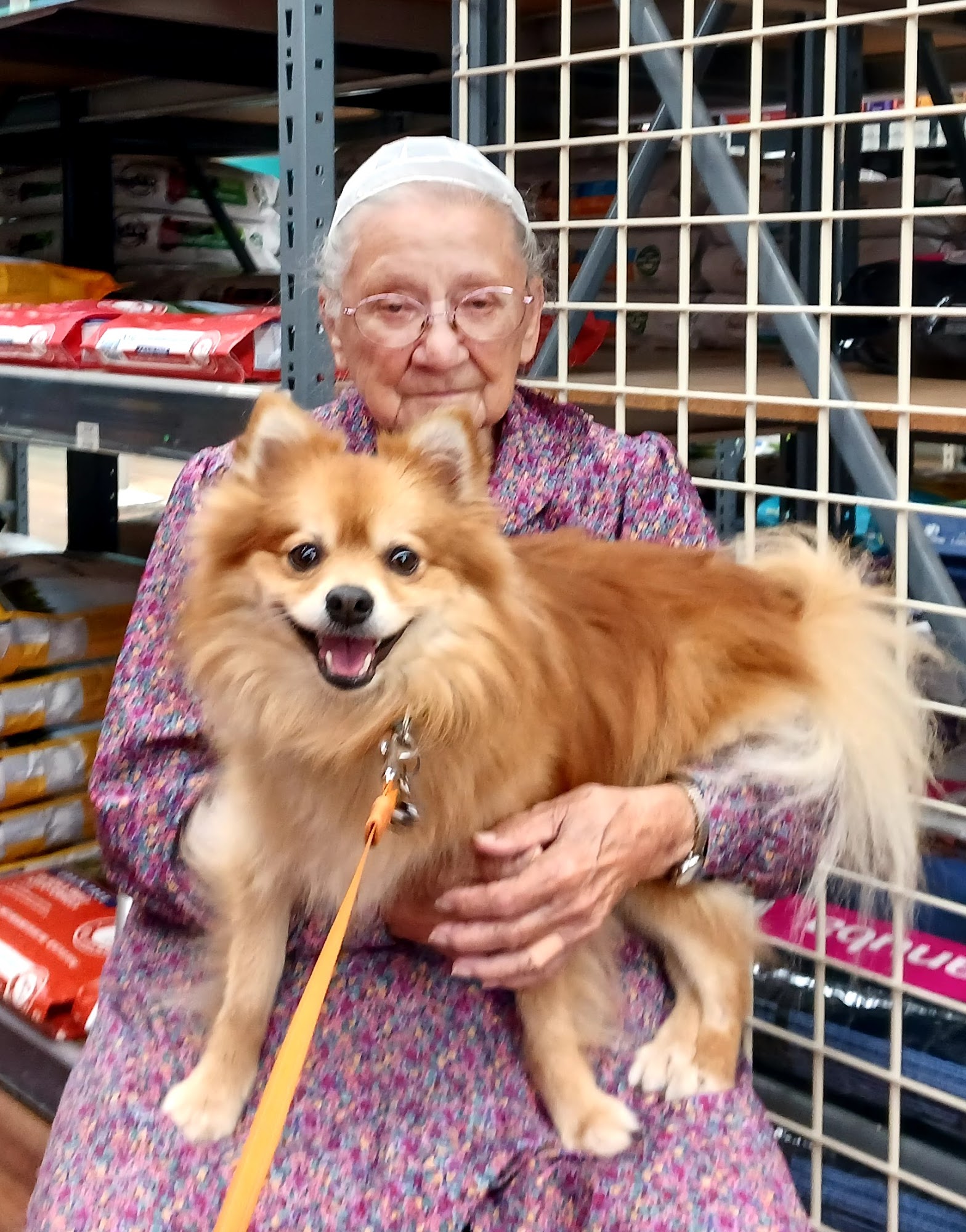Pet Supermarket Sarasota